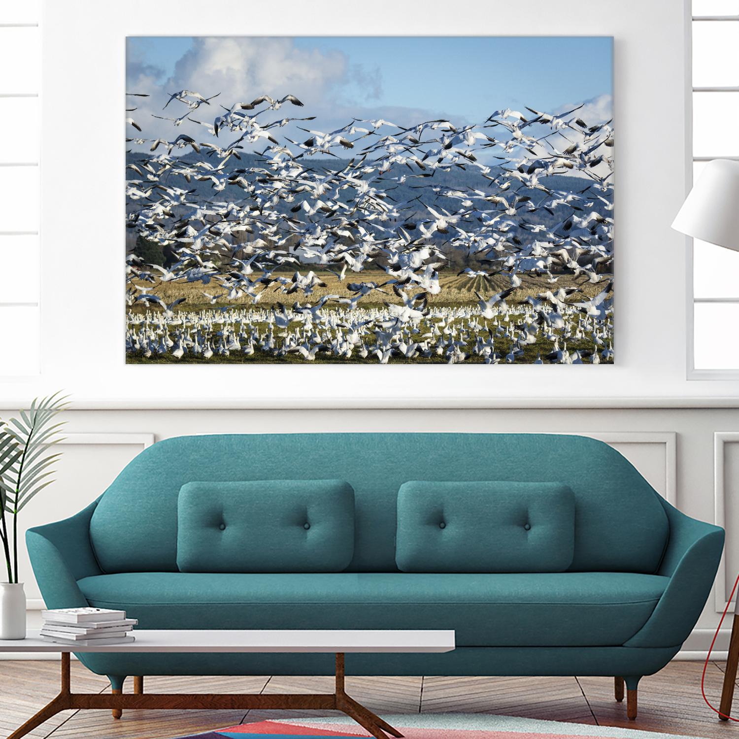 Takeoff by Nancy Crowell on GIANT ART - beige landscape