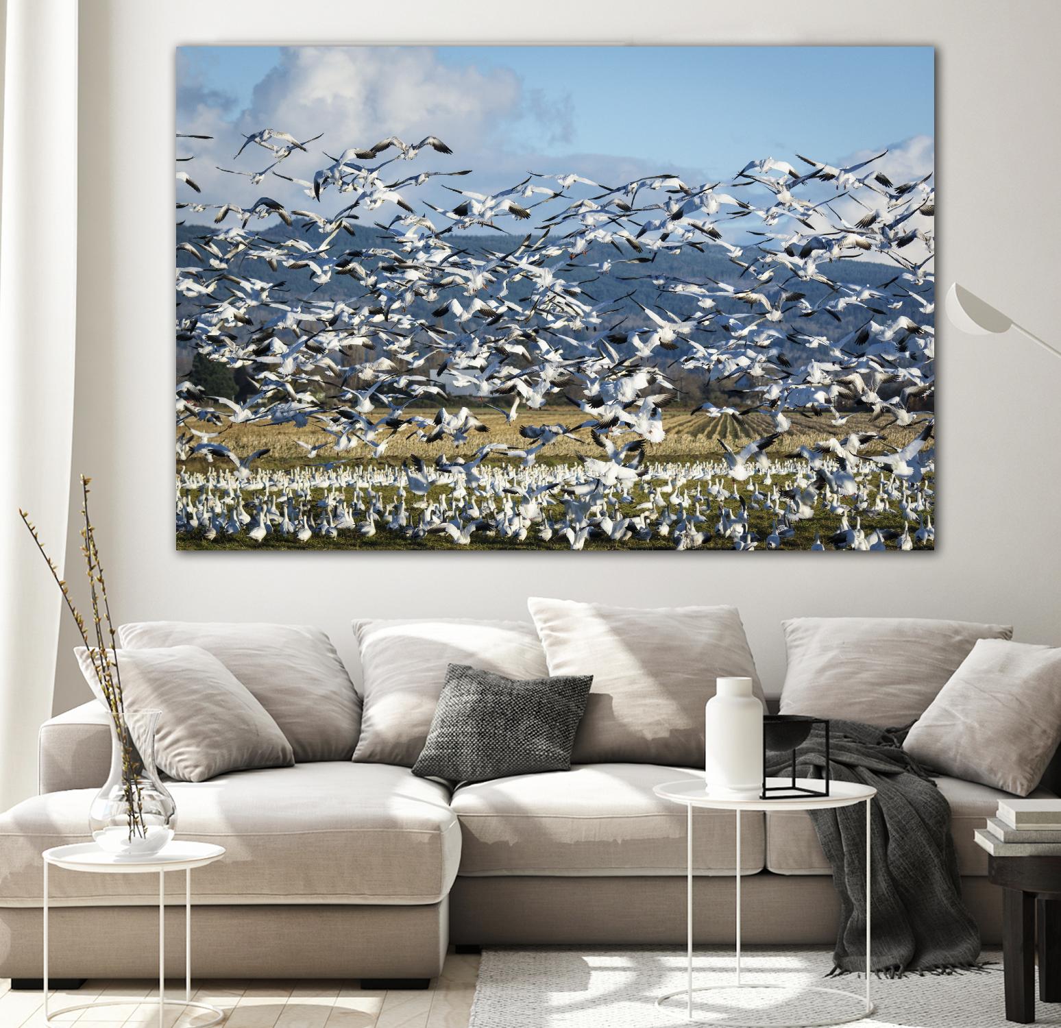 Takeoff by Nancy Crowell on GIANT ART - beige landscape