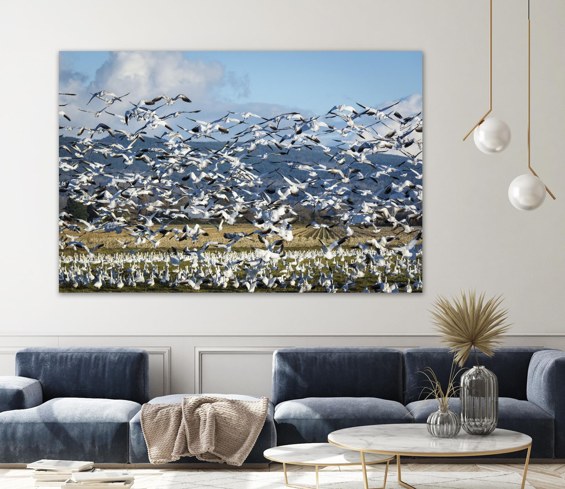 Takeoff by Nancy Crowell on GIANT ART - beige landscape