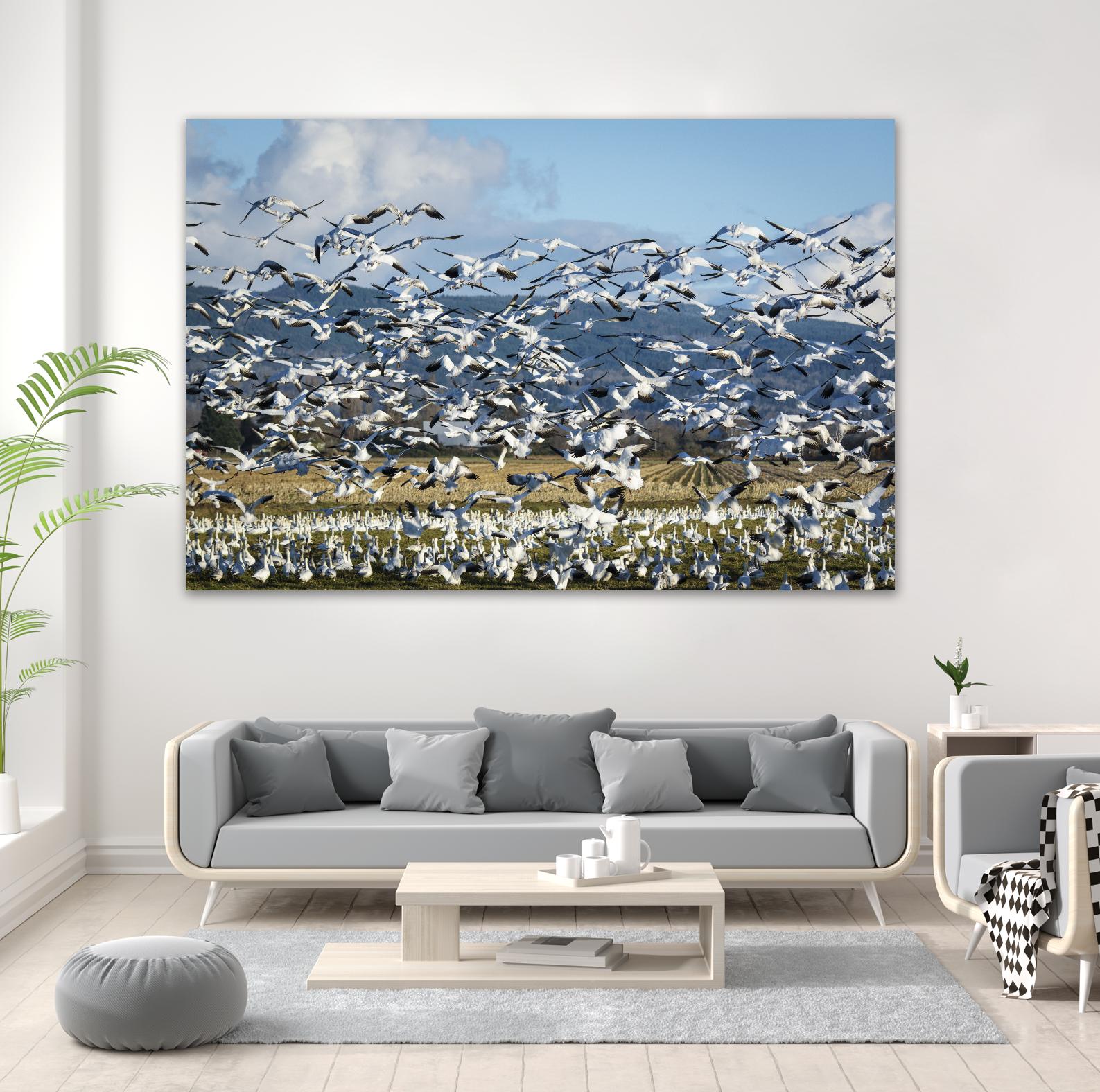 Takeoff by Nancy Crowell on GIANT ART - beige landscape