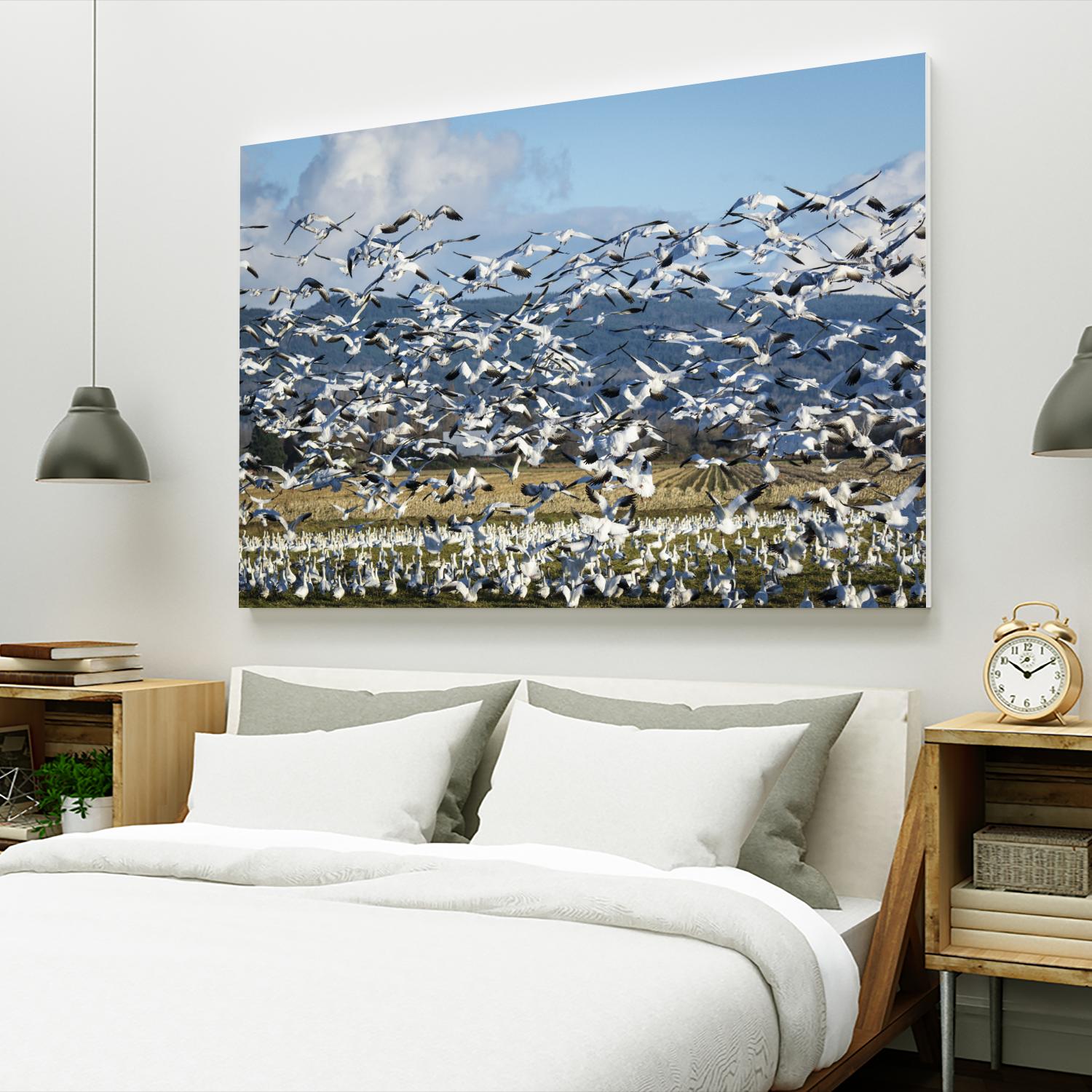 Takeoff by Nancy Crowell on GIANT ART - beige landscape