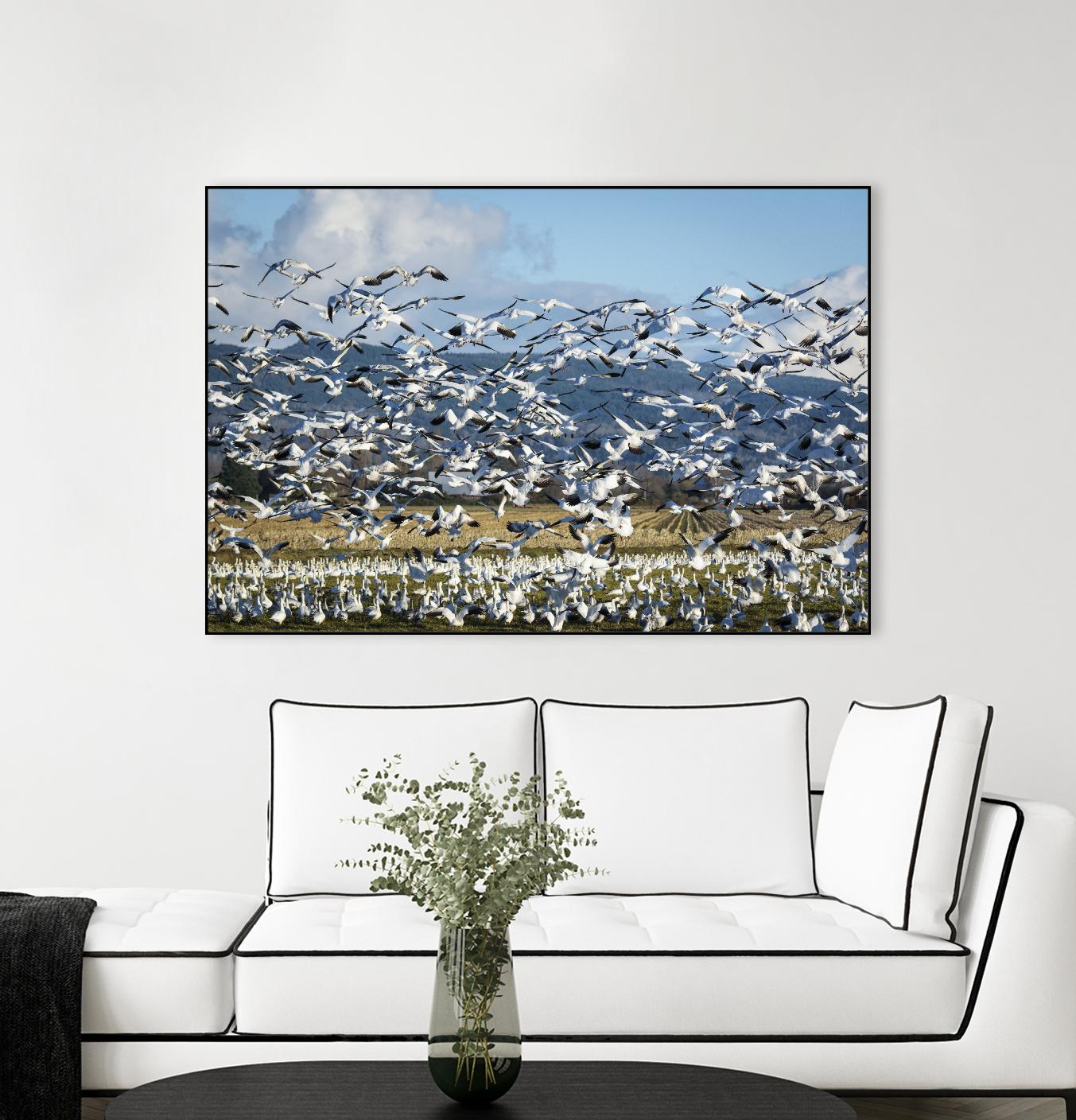 Takeoff by Nancy Crowell on GIANT ART - beige landscape