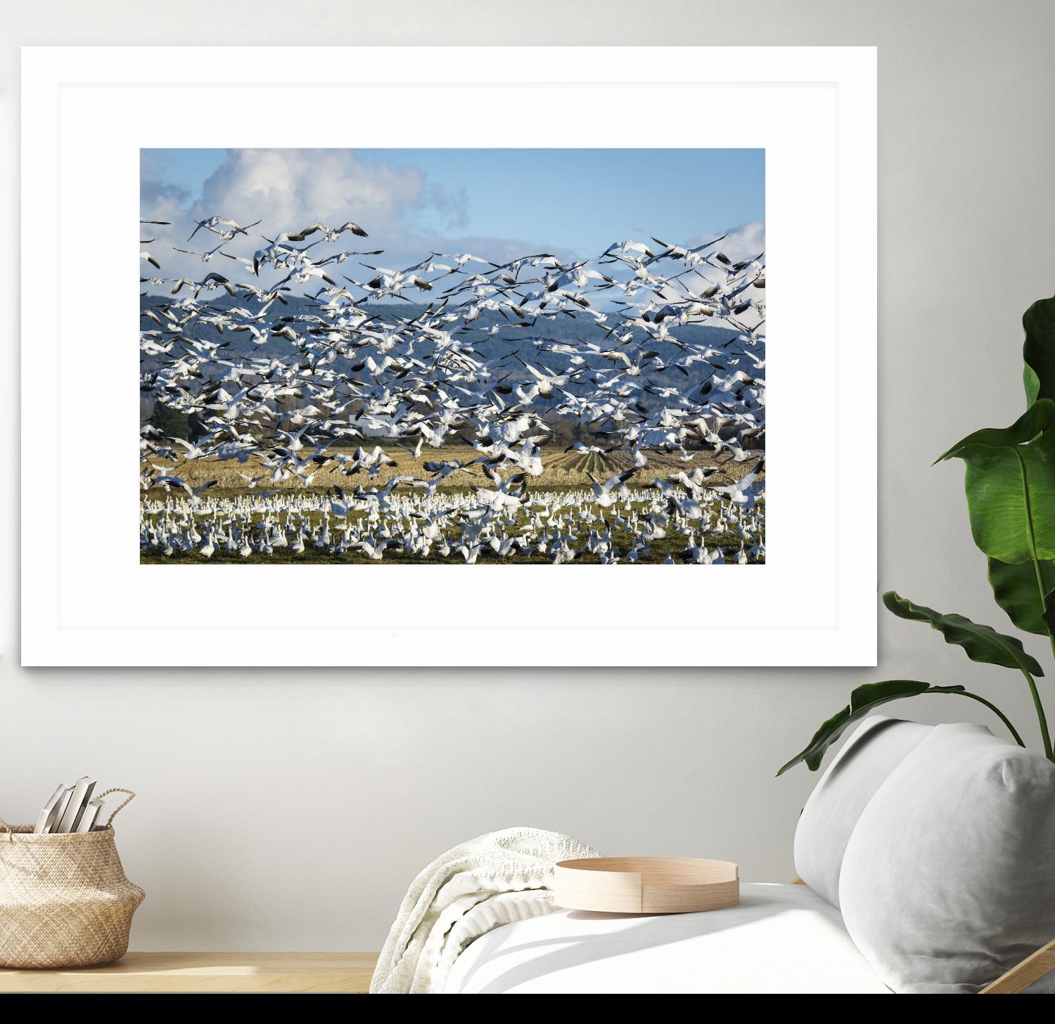 Takeoff by Nancy Crowell on GIANT ART - beige landscape