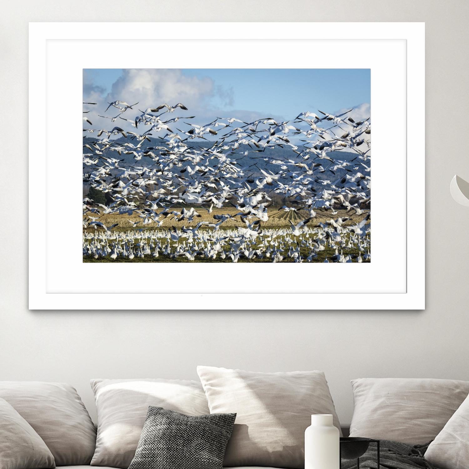 Takeoff by Nancy Crowell on GIANT ART - beige landscape