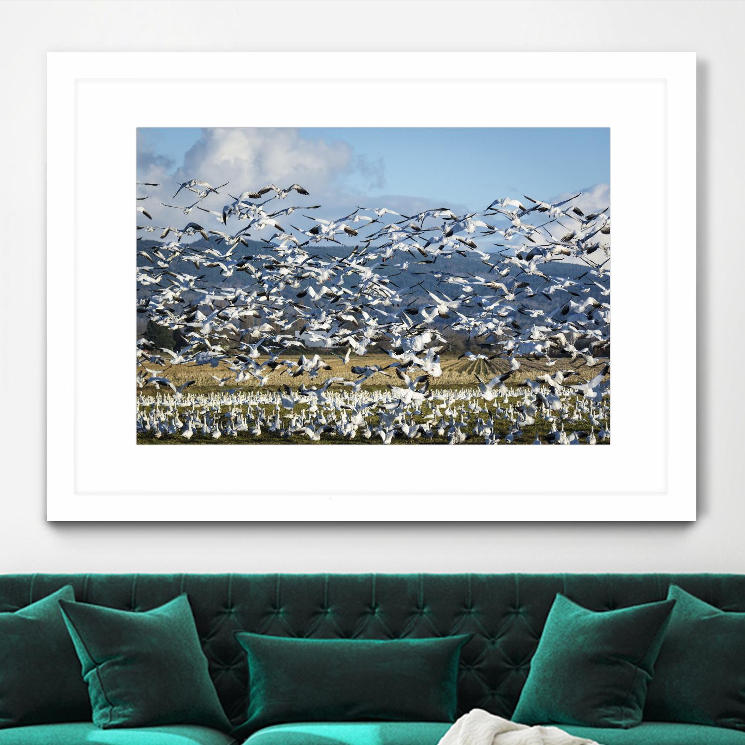 Takeoff by Nancy Crowell on GIANT ART - beige landscape