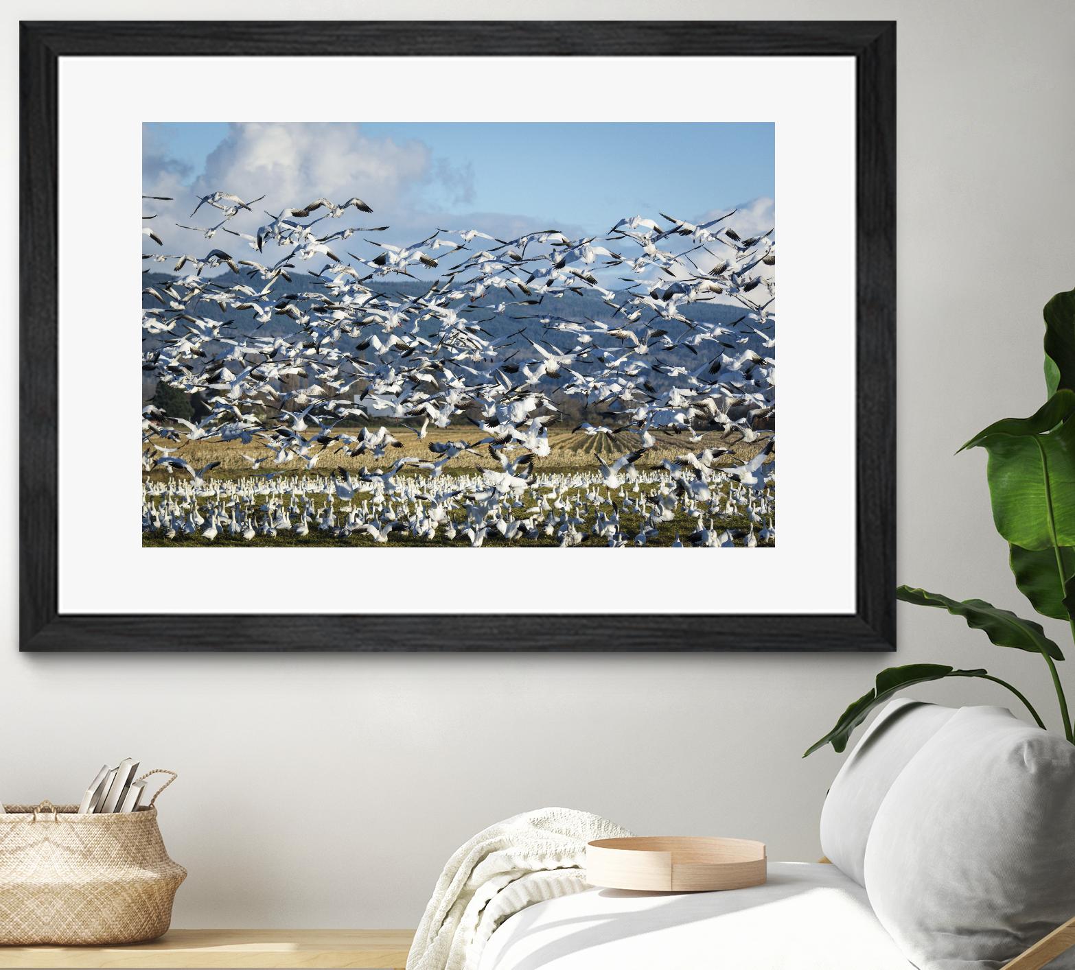 Takeoff by Nancy Crowell on GIANT ART - beige landscape