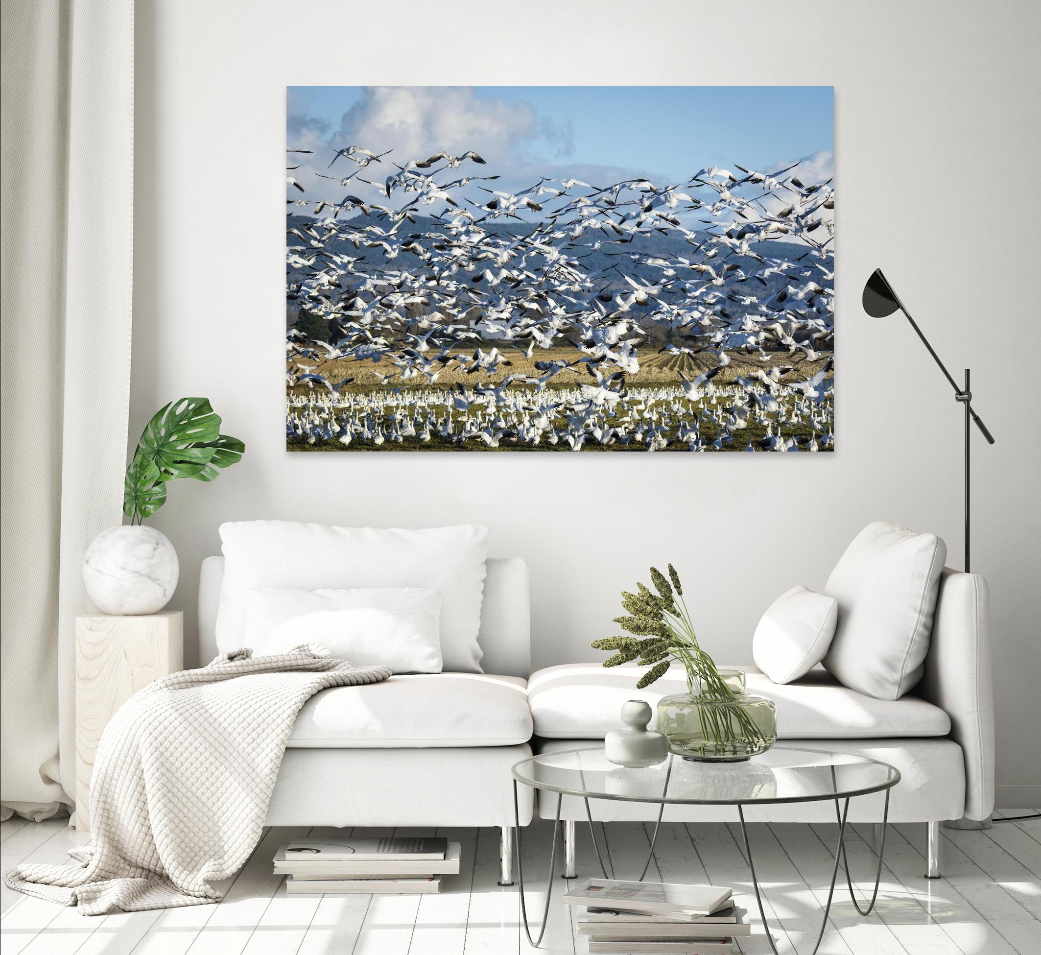 Takeoff by Nancy Crowell on GIANT ART - beige landscape