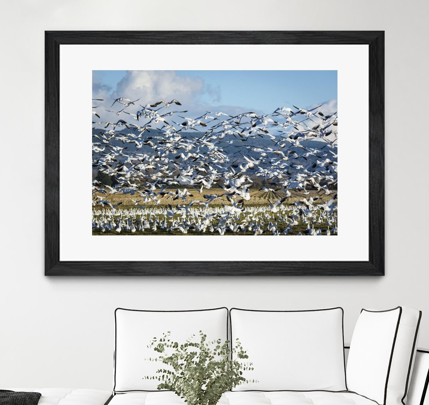 Takeoff by Nancy Crowell on GIANT ART - beige landscape