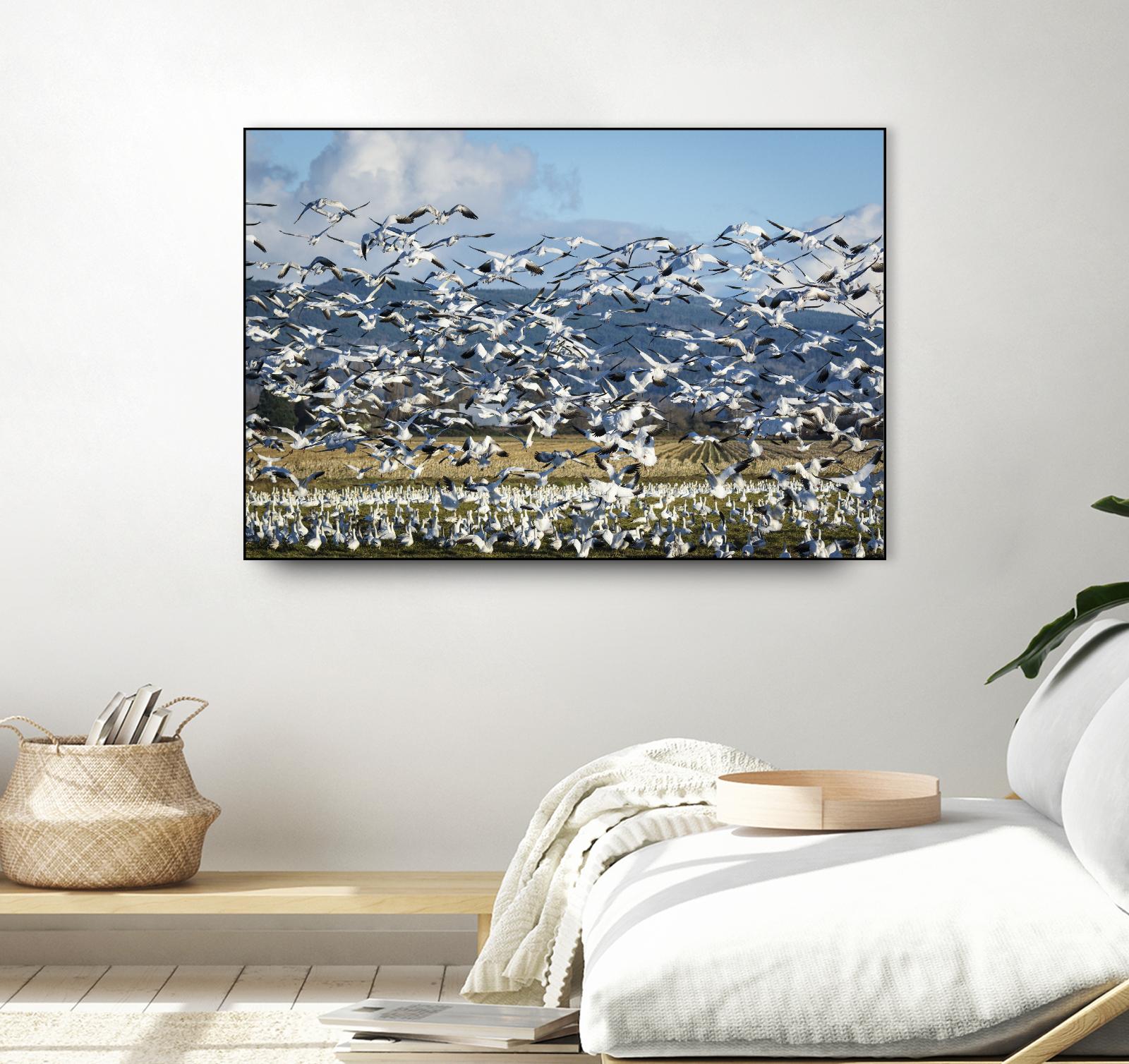 Takeoff by Nancy Crowell on GIANT ART - beige landscape