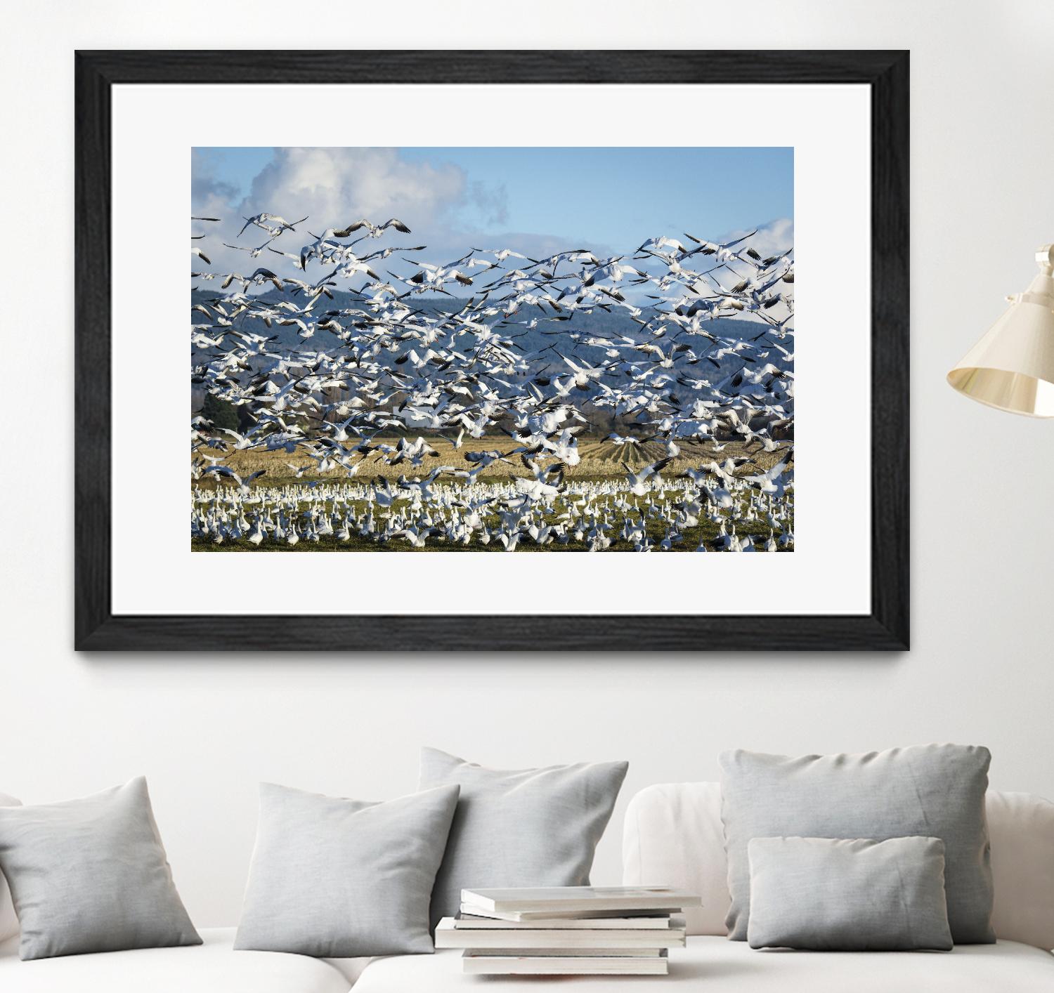 Takeoff by Nancy Crowell on GIANT ART - beige landscape