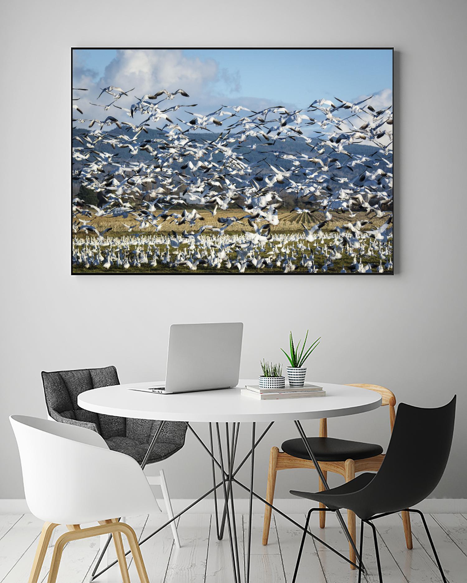 Takeoff by Nancy Crowell on GIANT ART - beige landscape