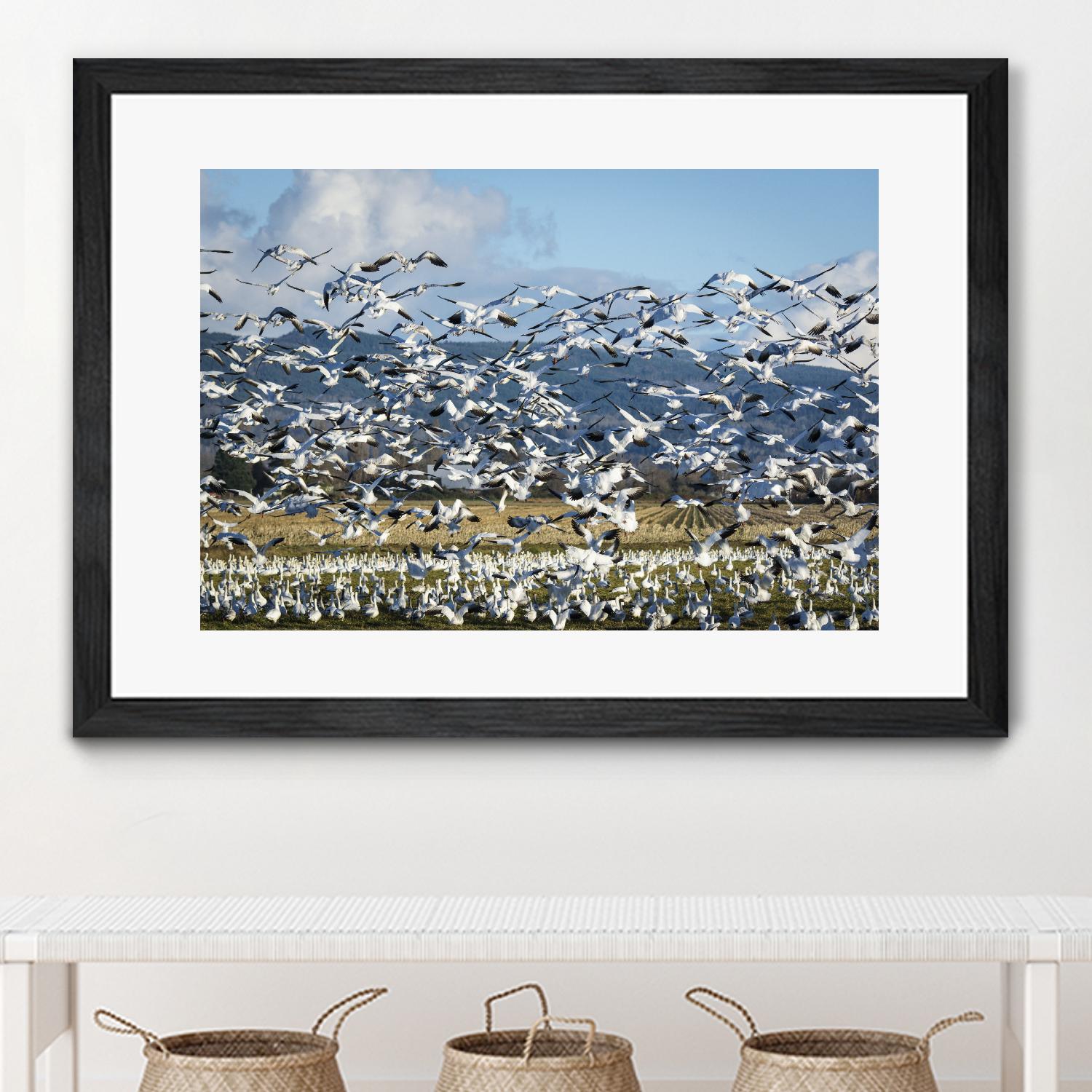 Takeoff by Nancy Crowell on GIANT ART - beige landscape