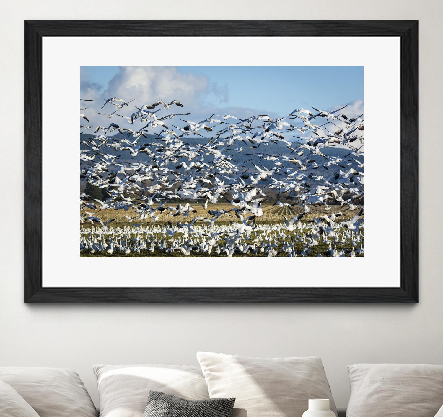 Takeoff by Nancy Crowell on GIANT ART - beige landscape