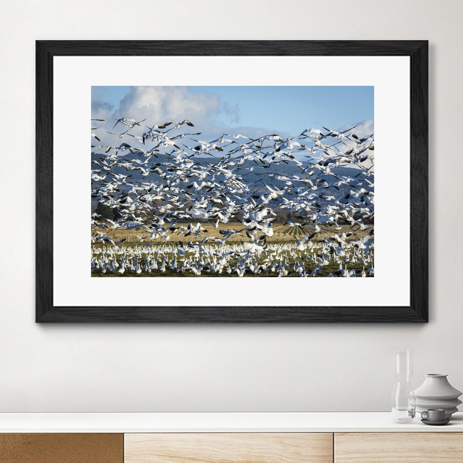 Takeoff by Nancy Crowell on GIANT ART - beige landscape