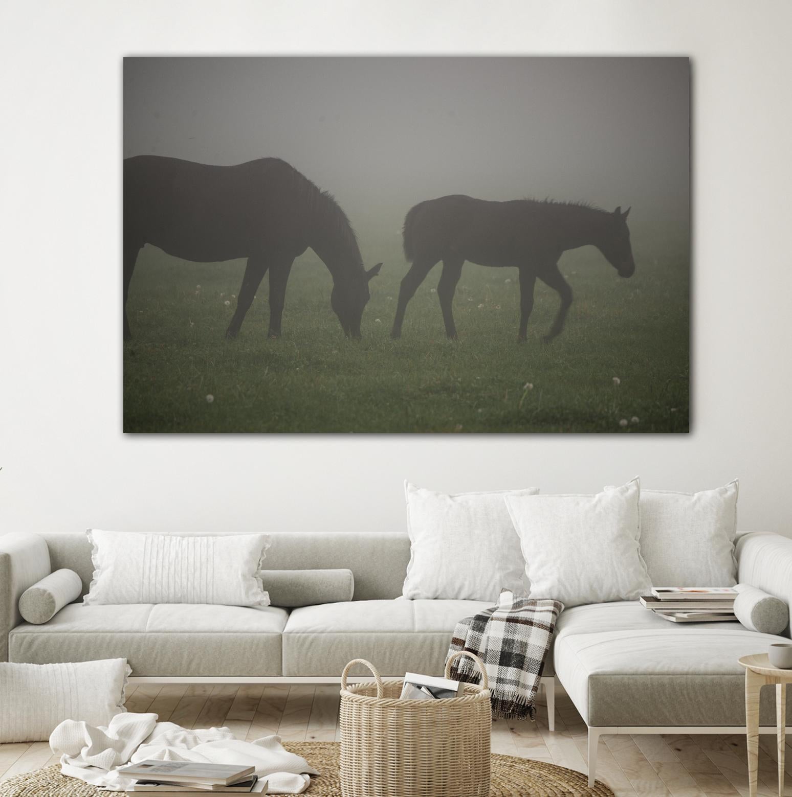 Photograph 3 by Nancy Crowell on GIANT ART - grey animals