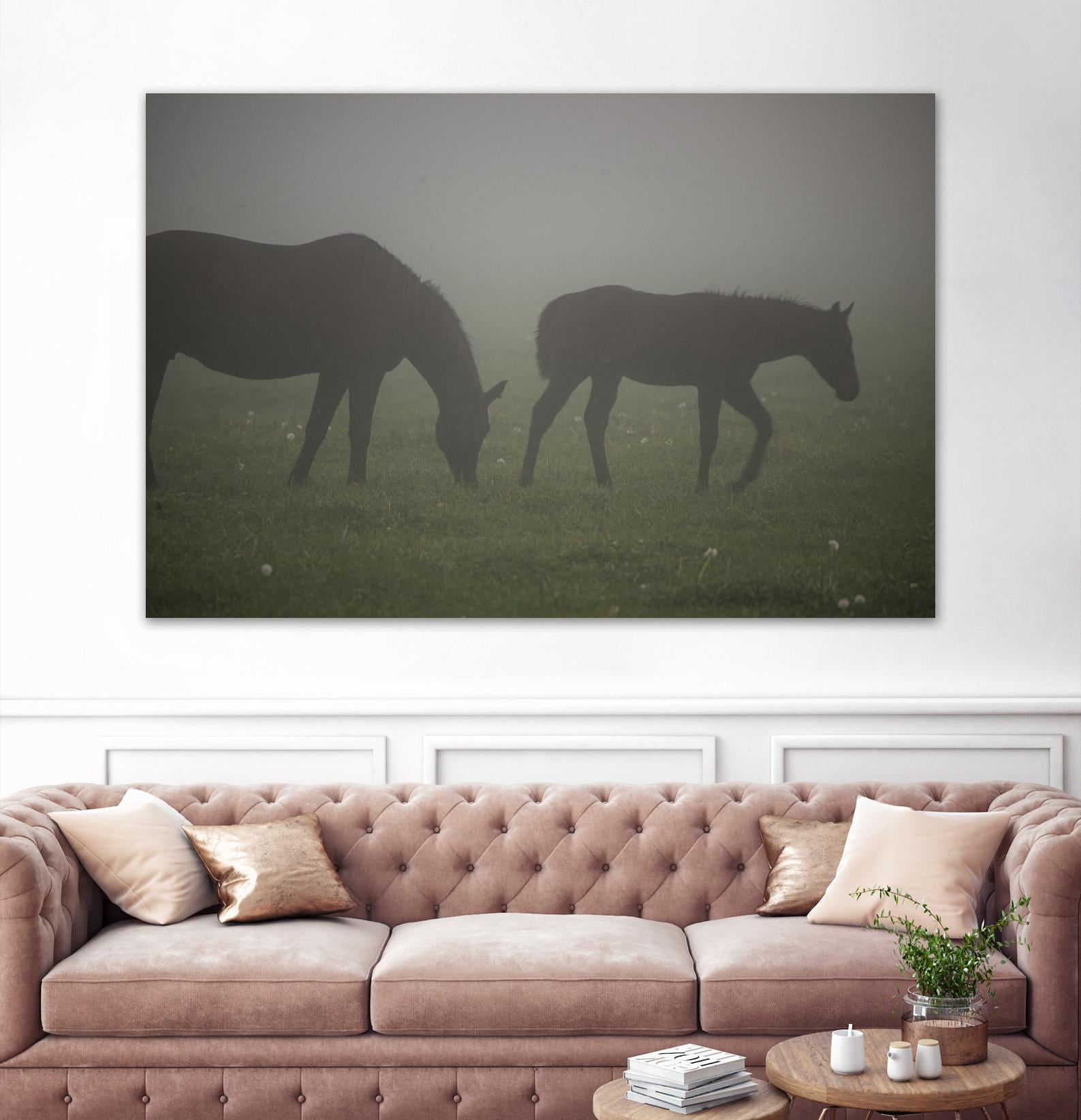 Photograph 3 by Nancy Crowell on GIANT ART - grey animals