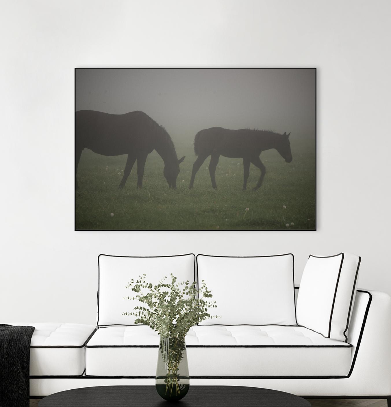 Photograph 3 by Nancy Crowell on GIANT ART - grey animals