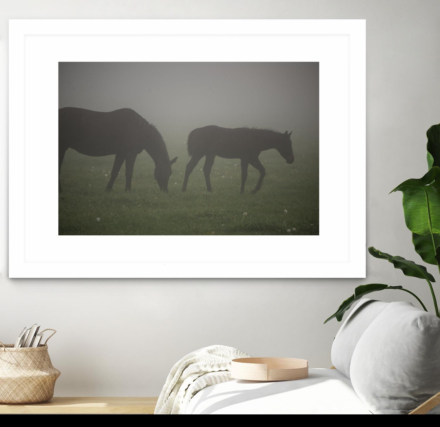 Photograph 3 by Nancy Crowell on GIANT ART - grey animals