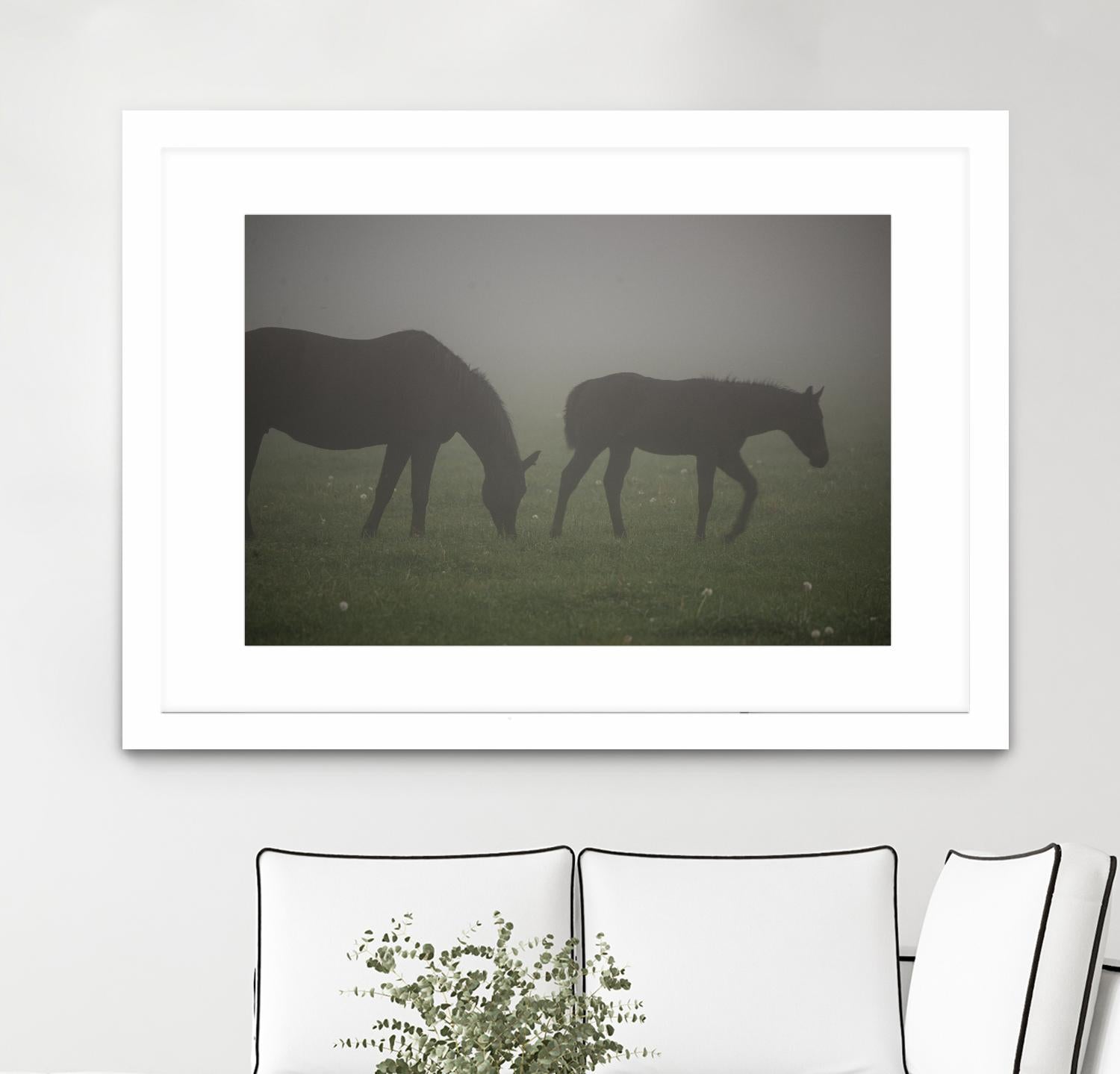 Photograph 3 by Nancy Crowell on GIANT ART - grey animals