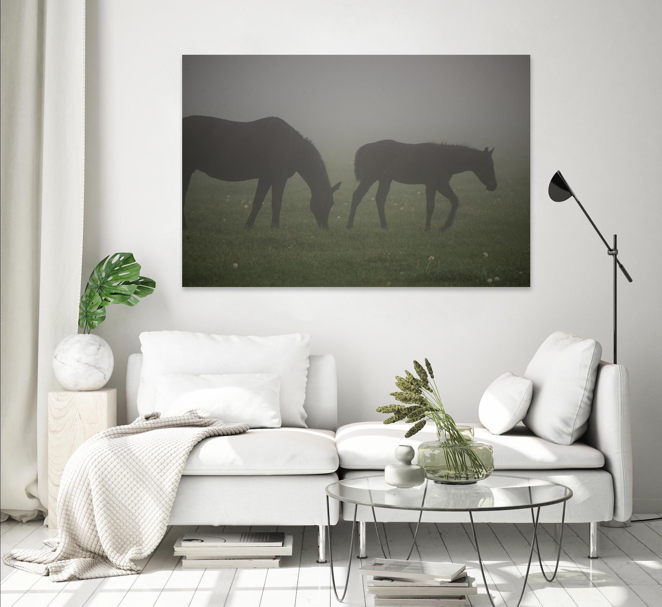 Photograph 3 by Nancy Crowell on GIANT ART - grey animals