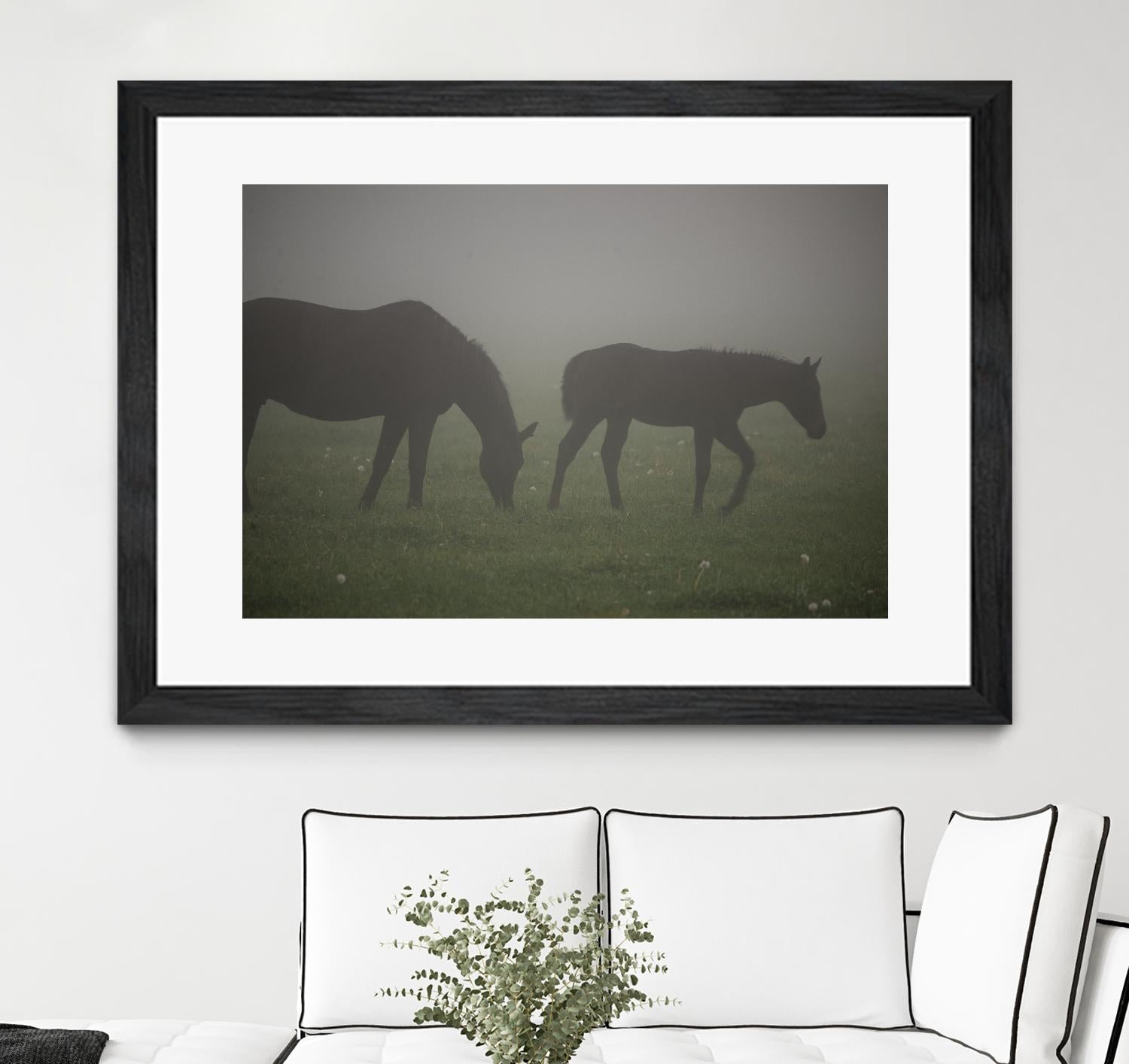 Photograph 3 by Nancy Crowell on GIANT ART - grey animals