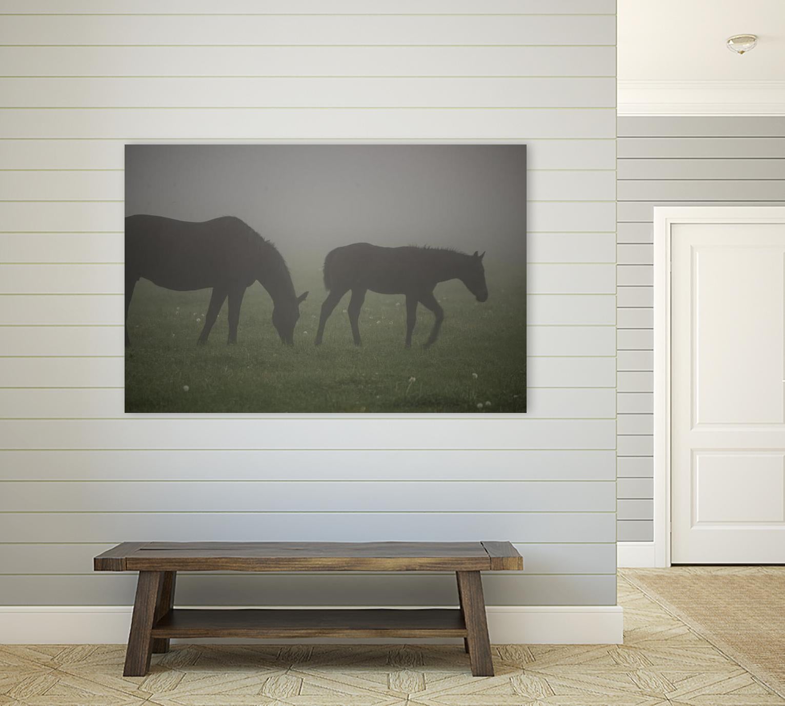 Photograph 3 by Nancy Crowell on GIANT ART - grey animals