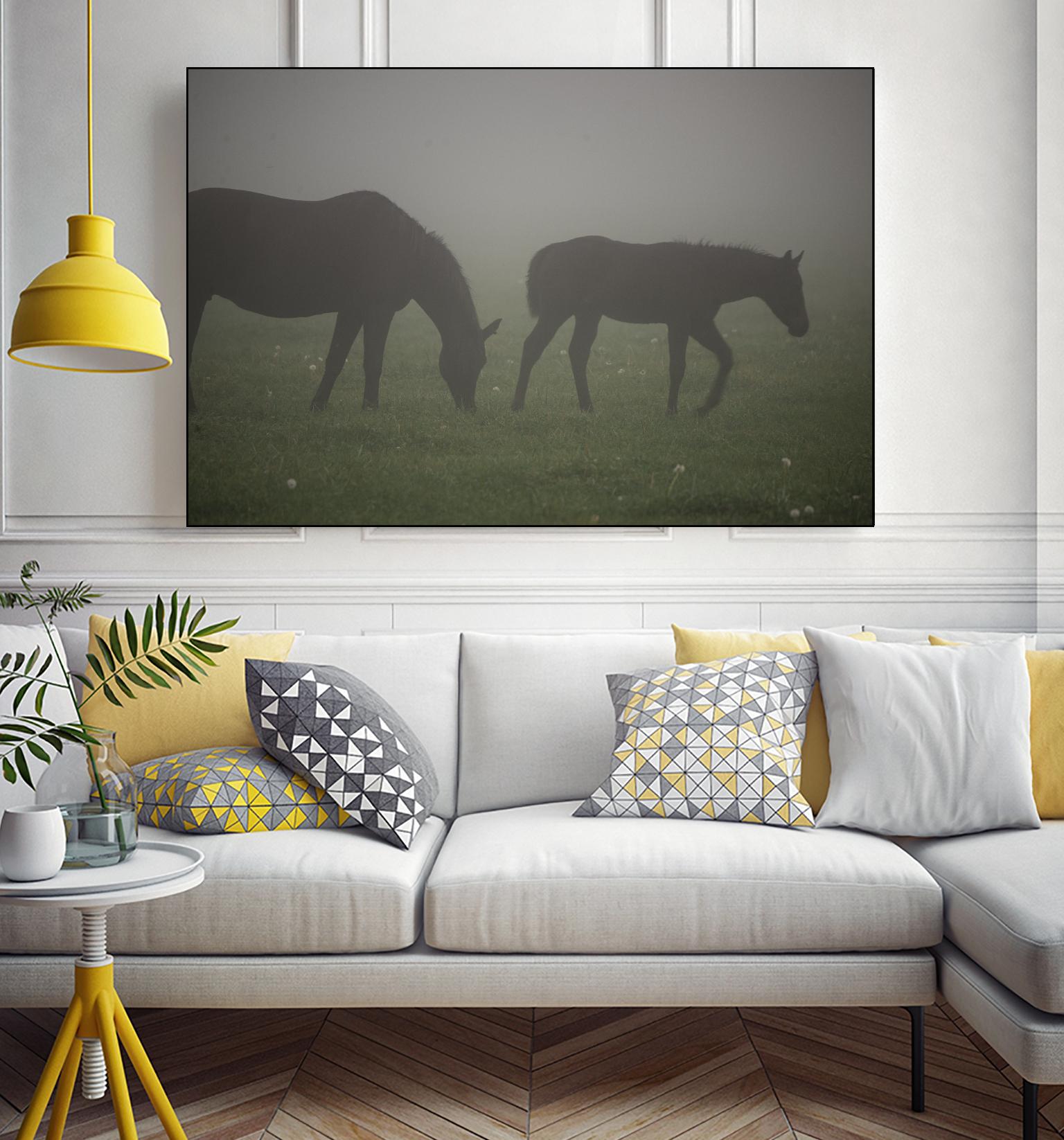 Photograph 3 by Nancy Crowell on GIANT ART - grey animals