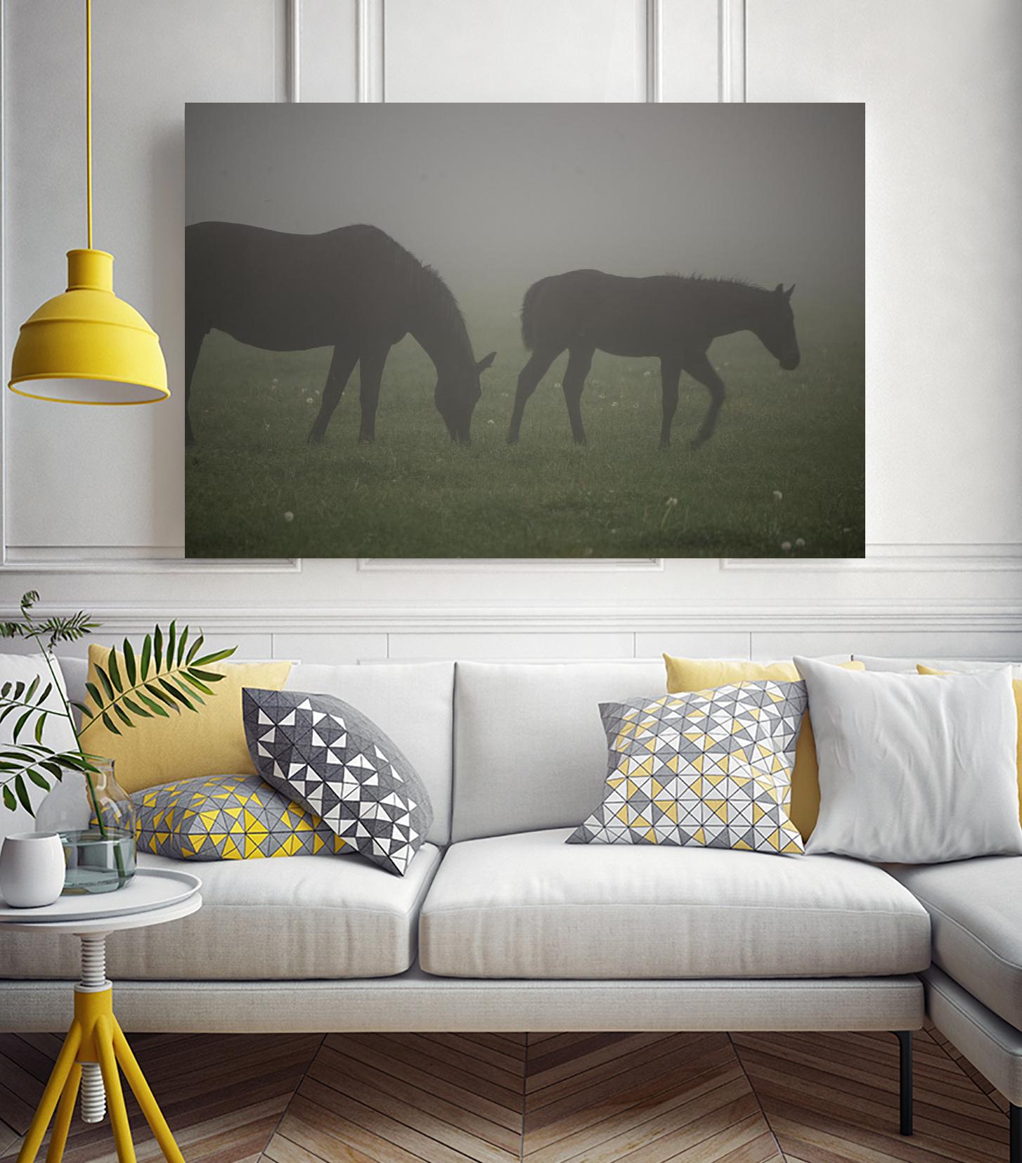 Photograph 3 by Nancy Crowell on GIANT ART - grey animals