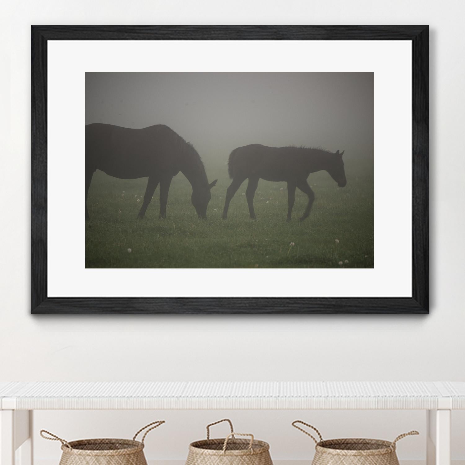 Photograph 3 by Nancy Crowell on GIANT ART - grey animals