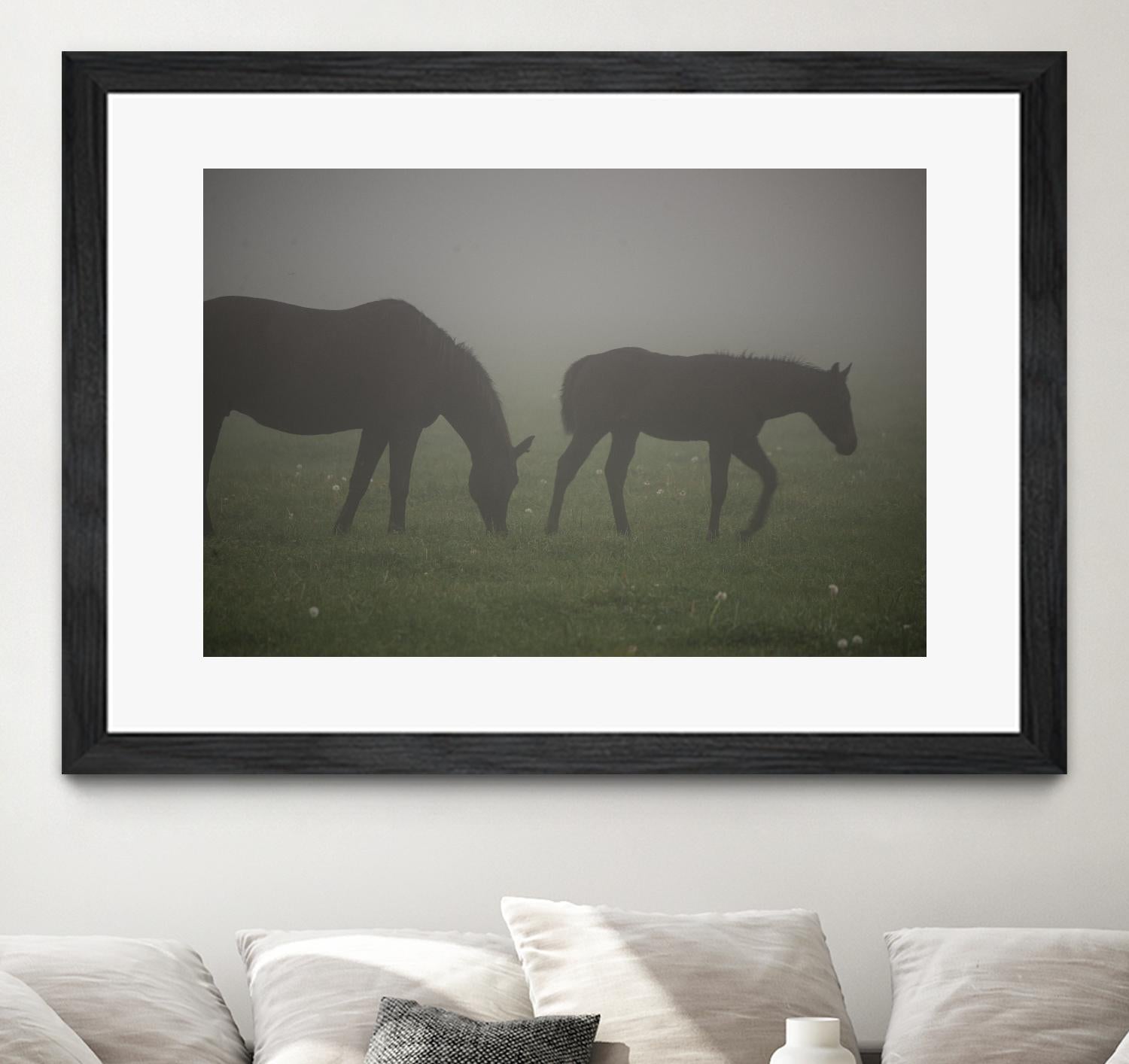 Photograph 3 by Nancy Crowell on GIANT ART - grey animals