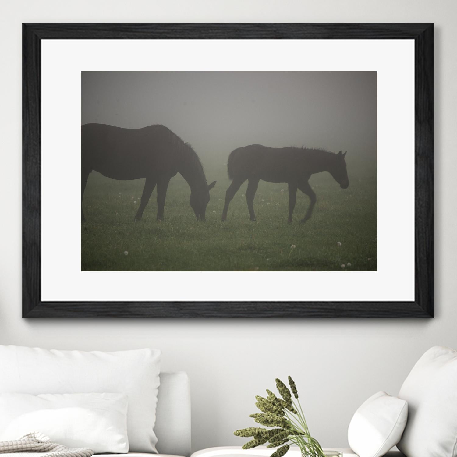 Photograph 3 by Nancy Crowell on GIANT ART - grey animals