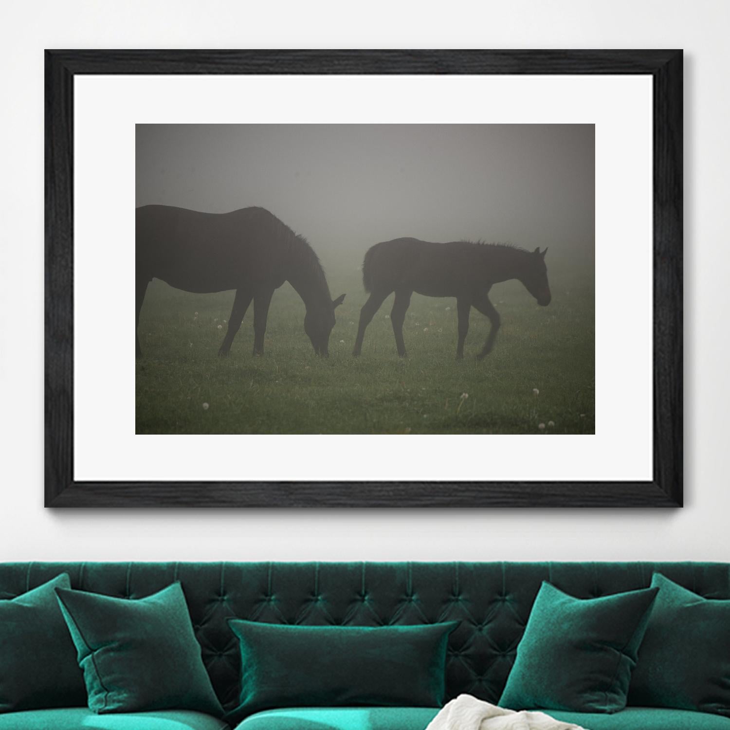 Photograph 3 by Nancy Crowell on GIANT ART - grey animals