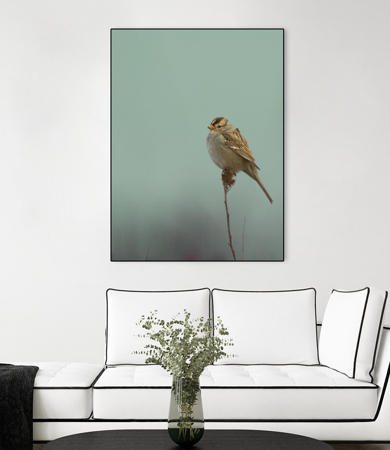 Perch by Nancy Crowell on GIANT ART - greens birds