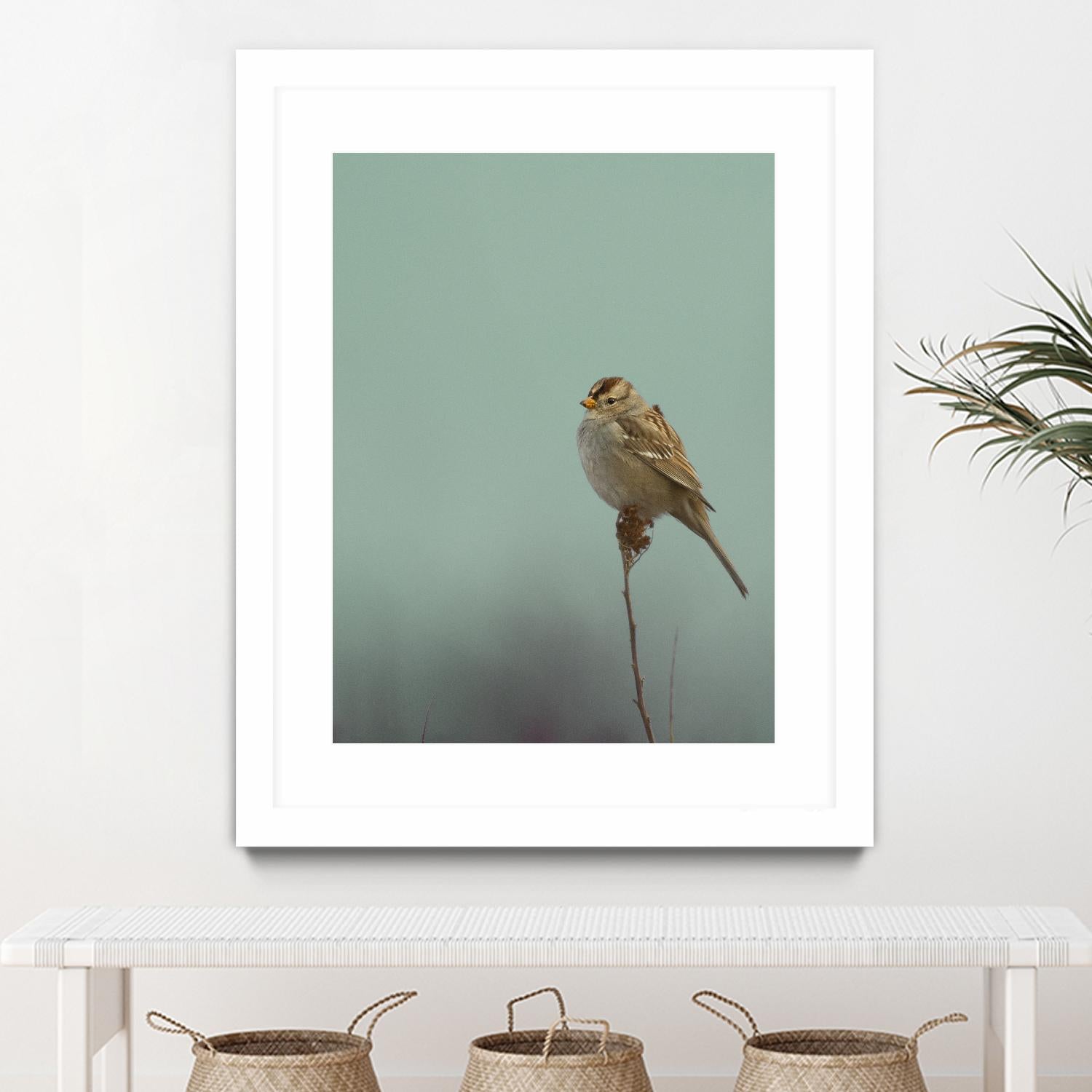 Perch by Nancy Crowell on GIANT ART - greens birds