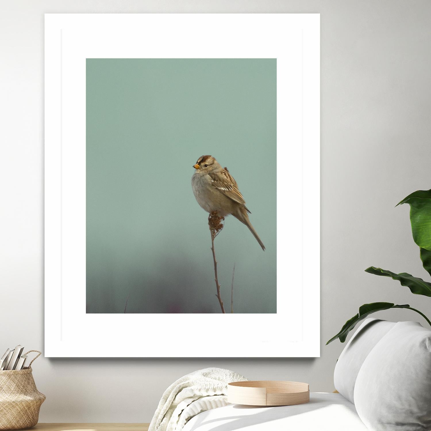 Perch by Nancy Crowell on GIANT ART - greens birds