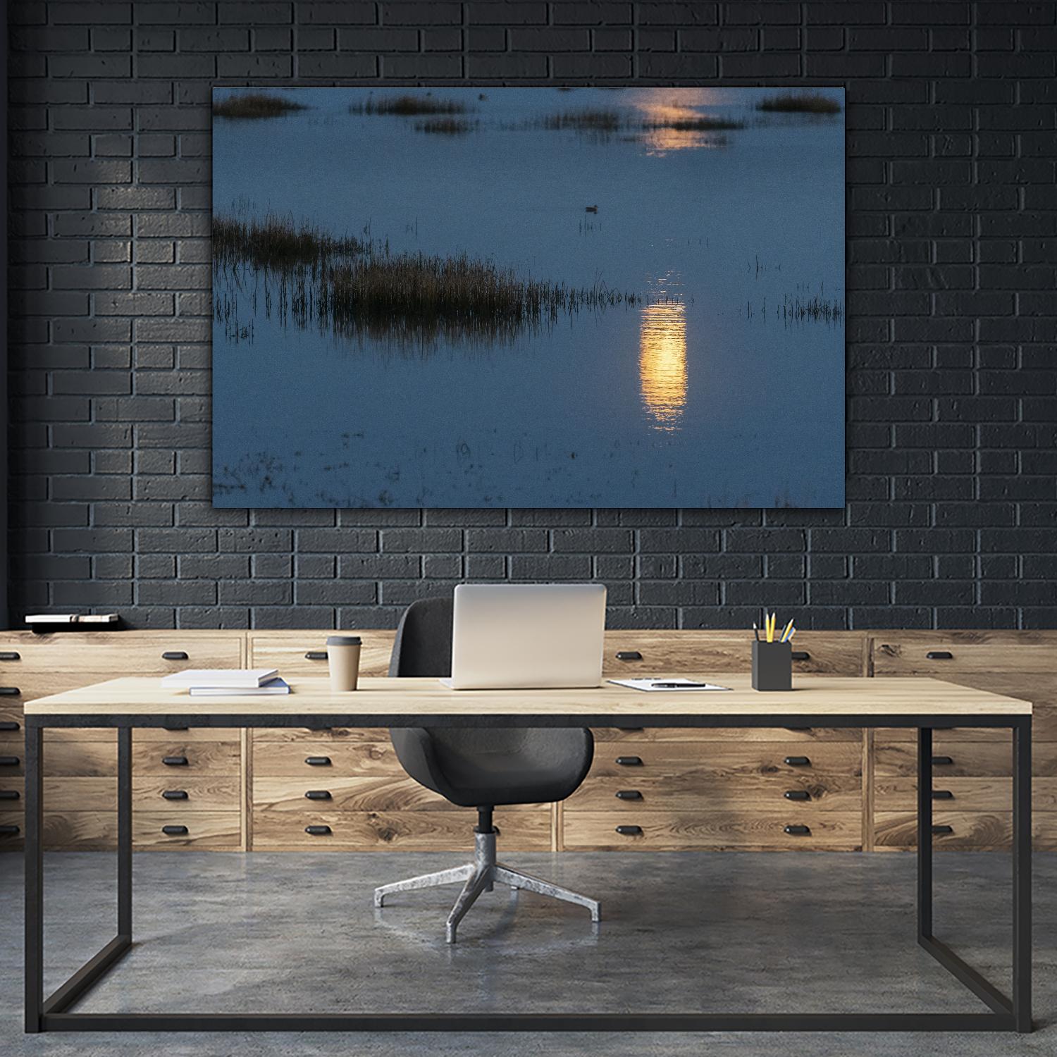 Wetland Moonlight by Nancy Crowell on GIANT ART - scenic