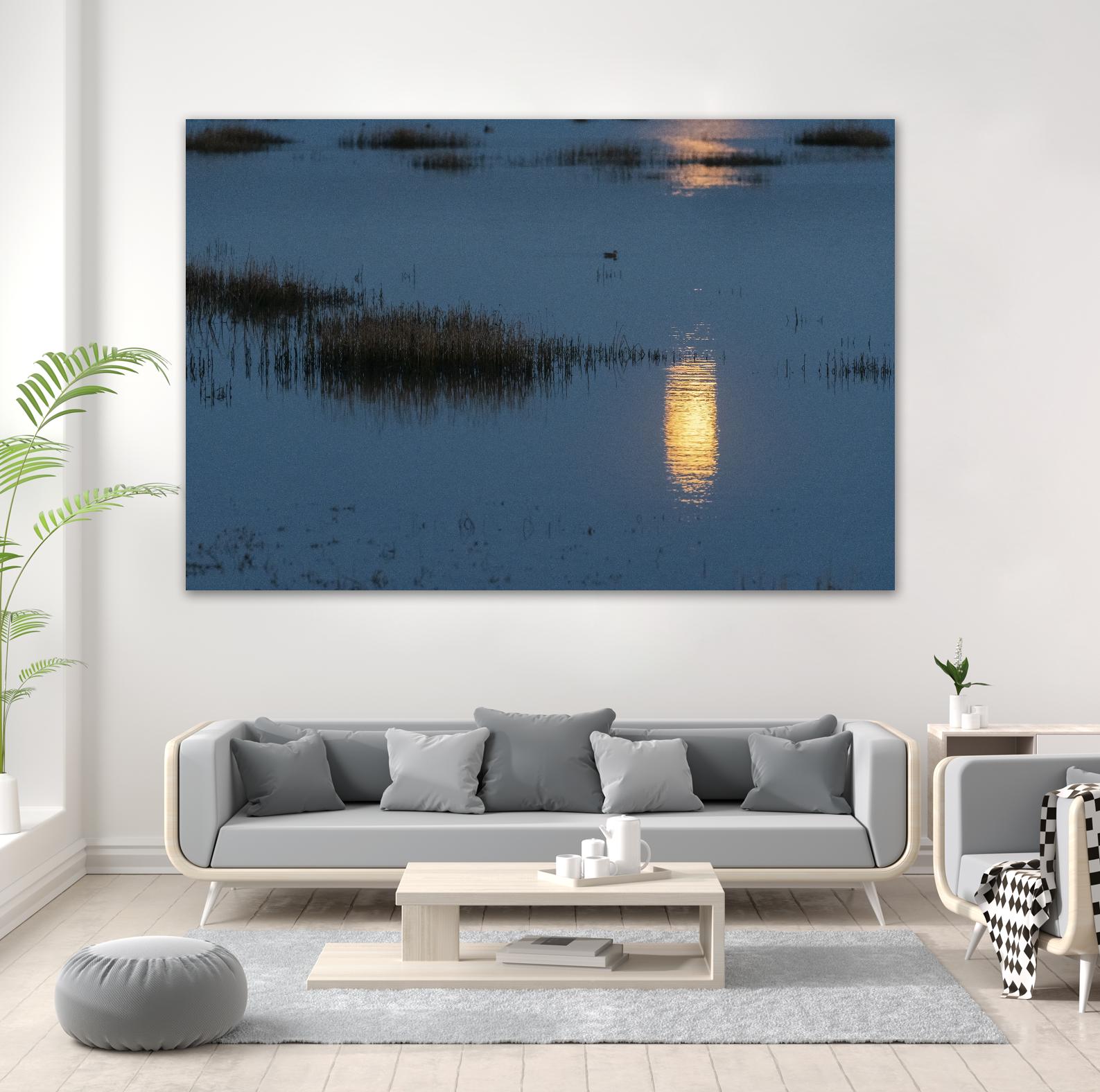 Wetland Moonlight by Nancy Crowell on GIANT ART - scenic
