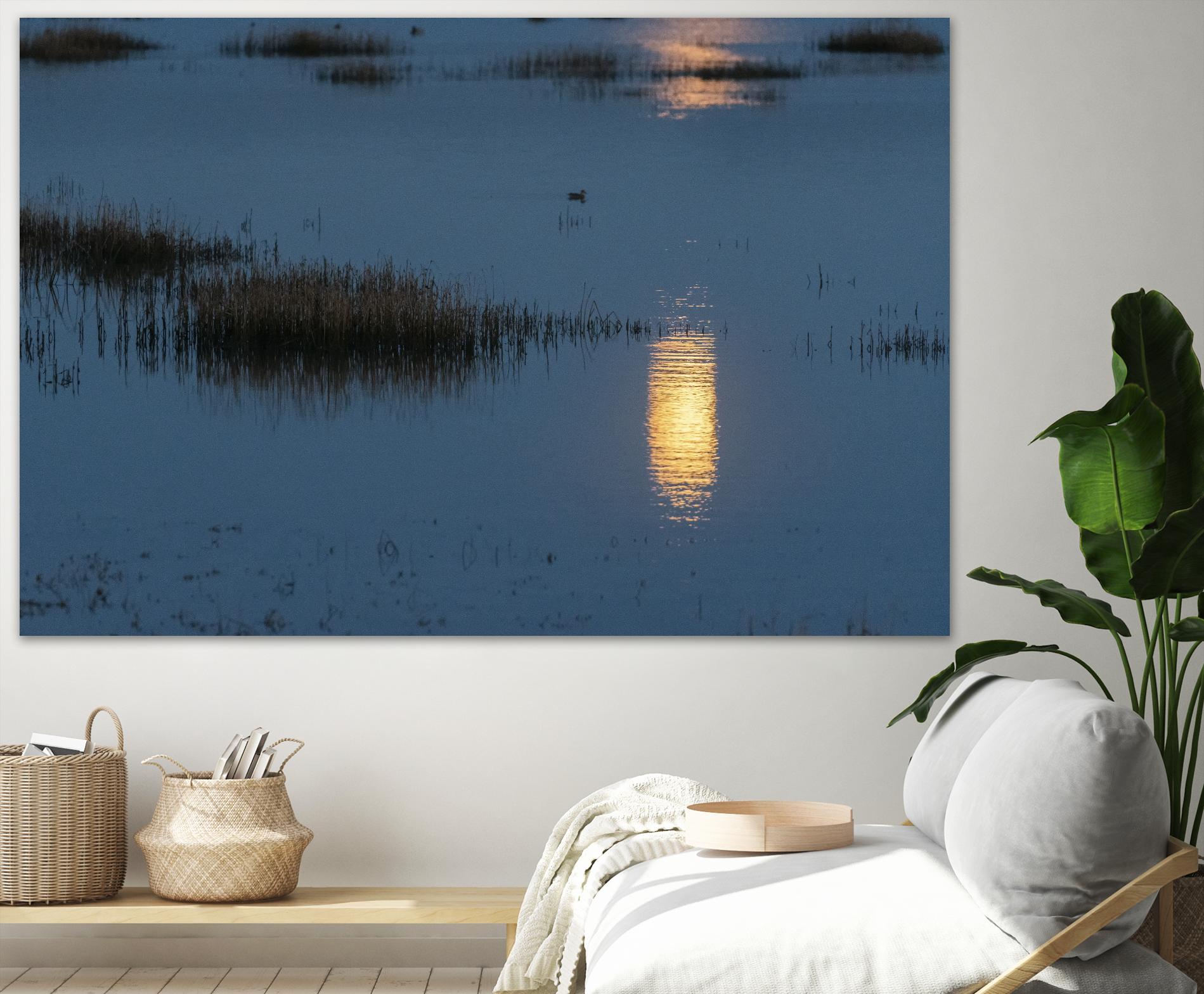 Wetland Moonlight by Nancy Crowell on GIANT ART - scenic