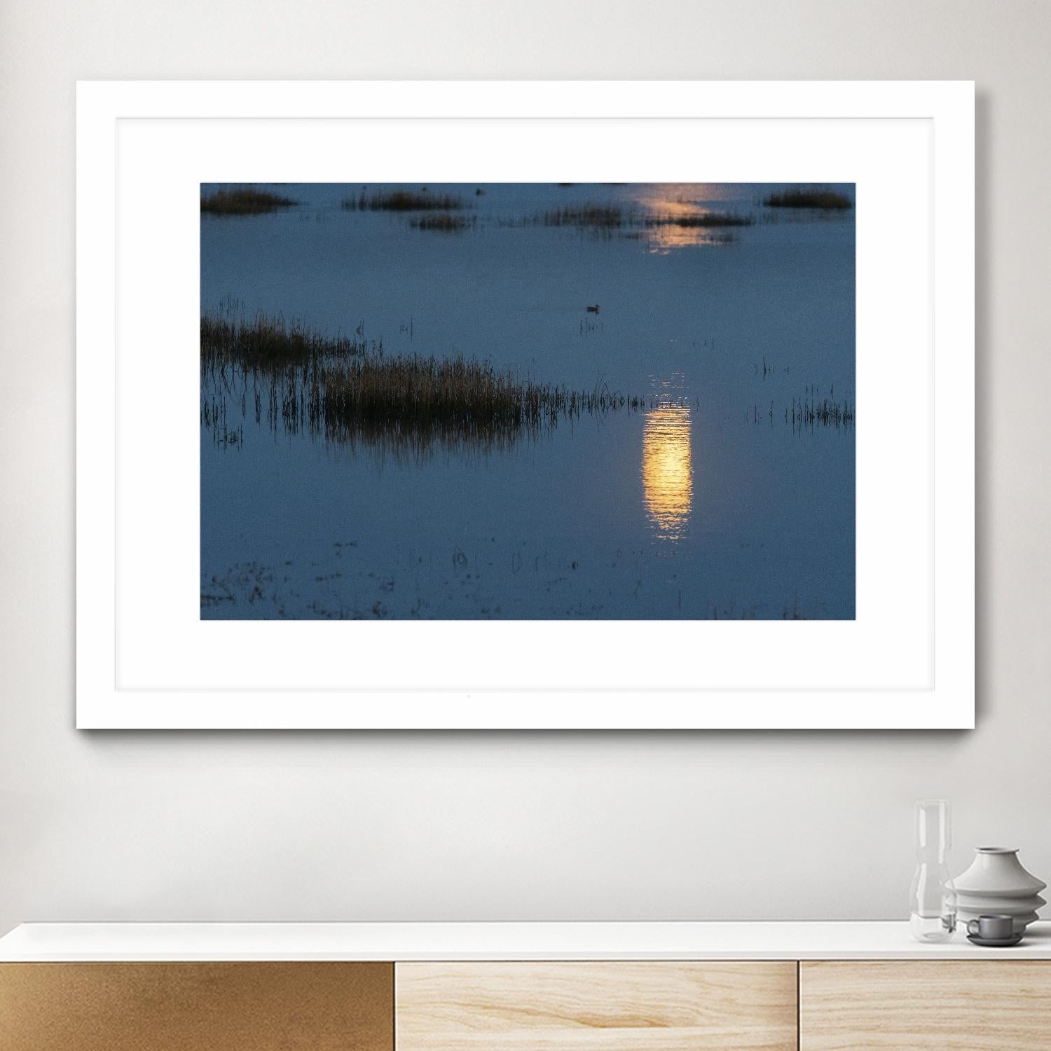 Wetland Moonlight by Nancy Crowell on GIANT ART - scenic