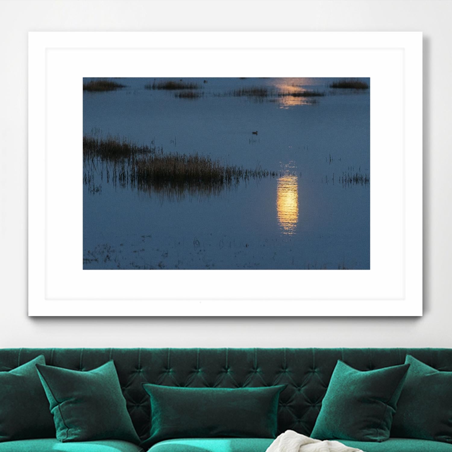 Wetland Moonlight by Nancy Crowell on GIANT ART - scenic