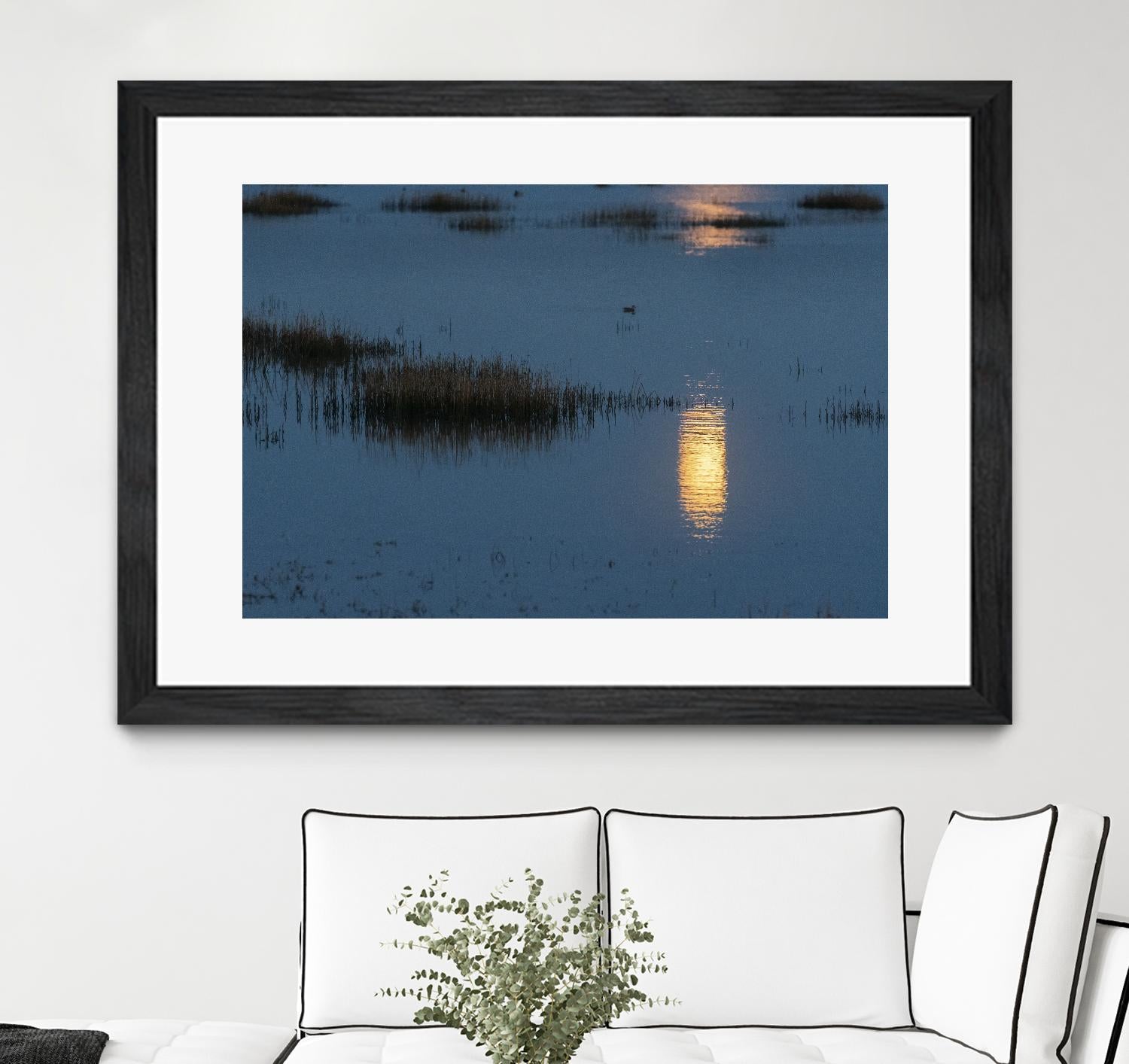 Wetland Moonlight by Nancy Crowell on GIANT ART - scenic