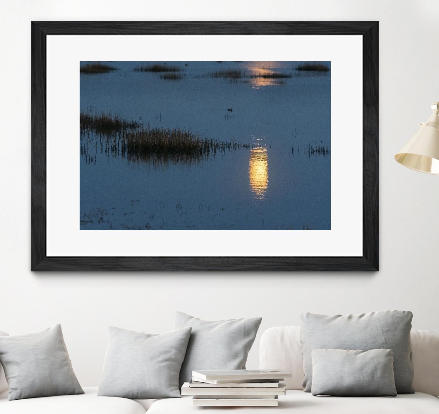 Wetland Moonlight by Nancy Crowell on GIANT ART - scenic
