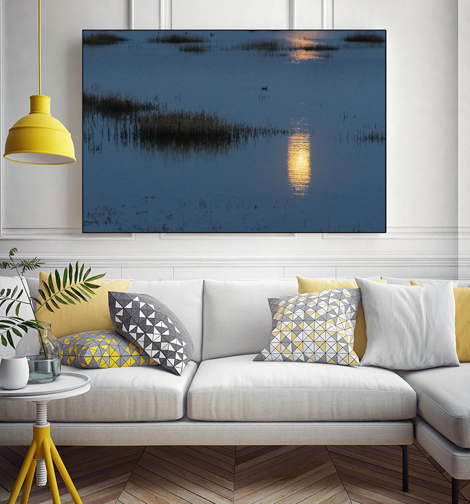 Wetland Moonlight by Nancy Crowell on GIANT ART - scenic