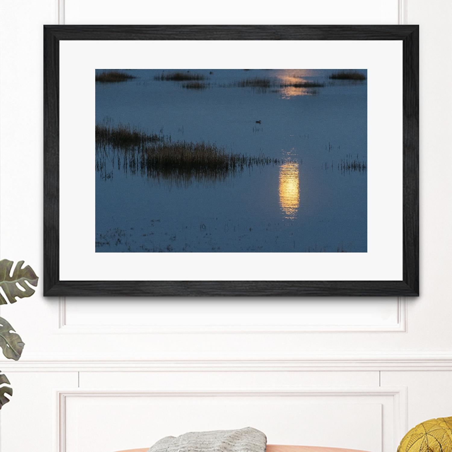 Wetland Moonlight by Nancy Crowell on GIANT ART - scenic