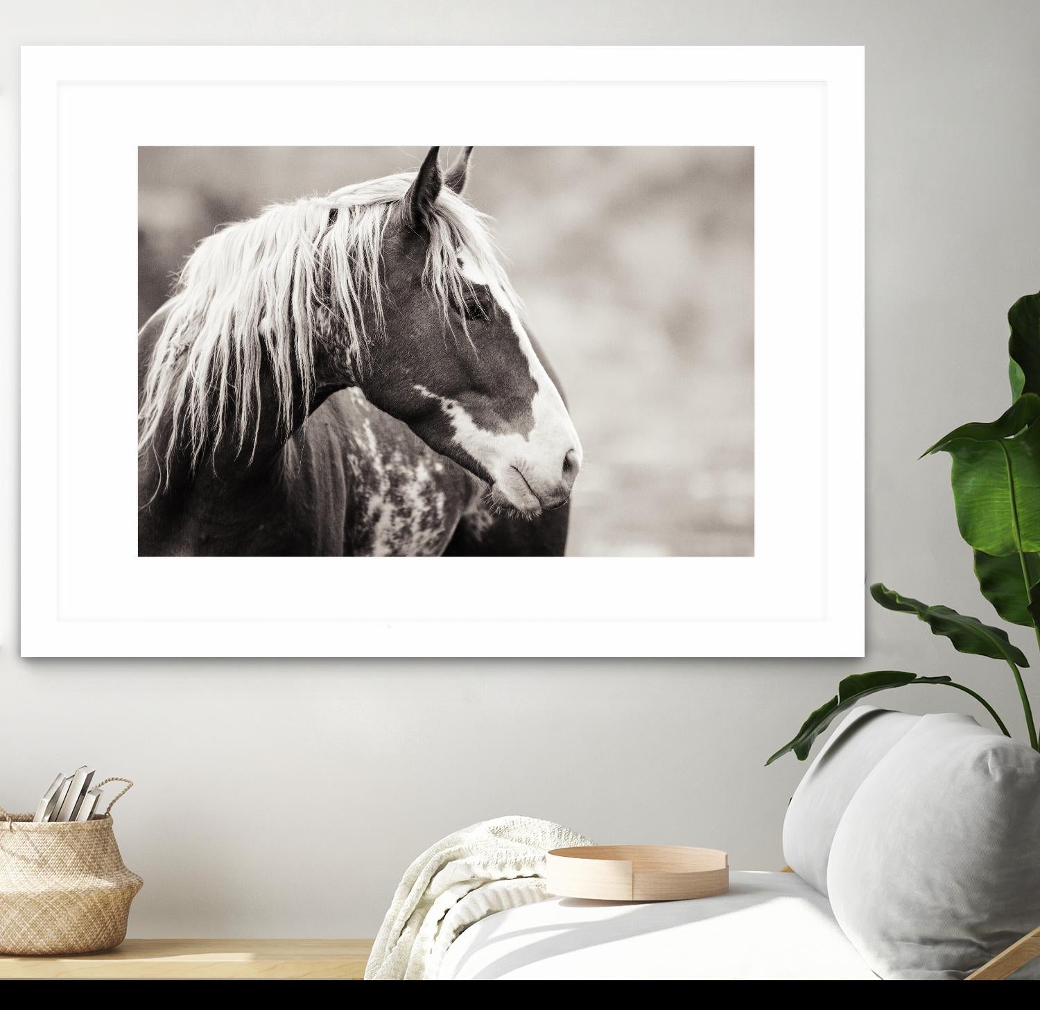 Wild Paint by Erle KaCee on GIANT ART - white animals