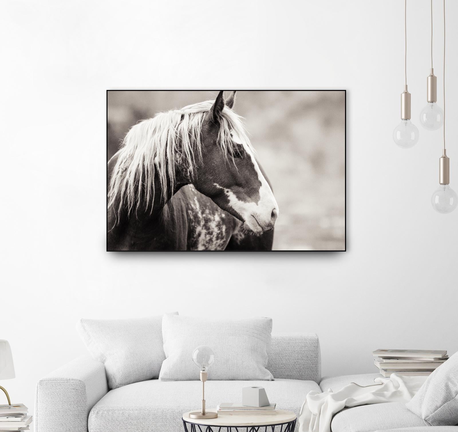 Wild Paint by Erle KaCee on GIANT ART - white animals