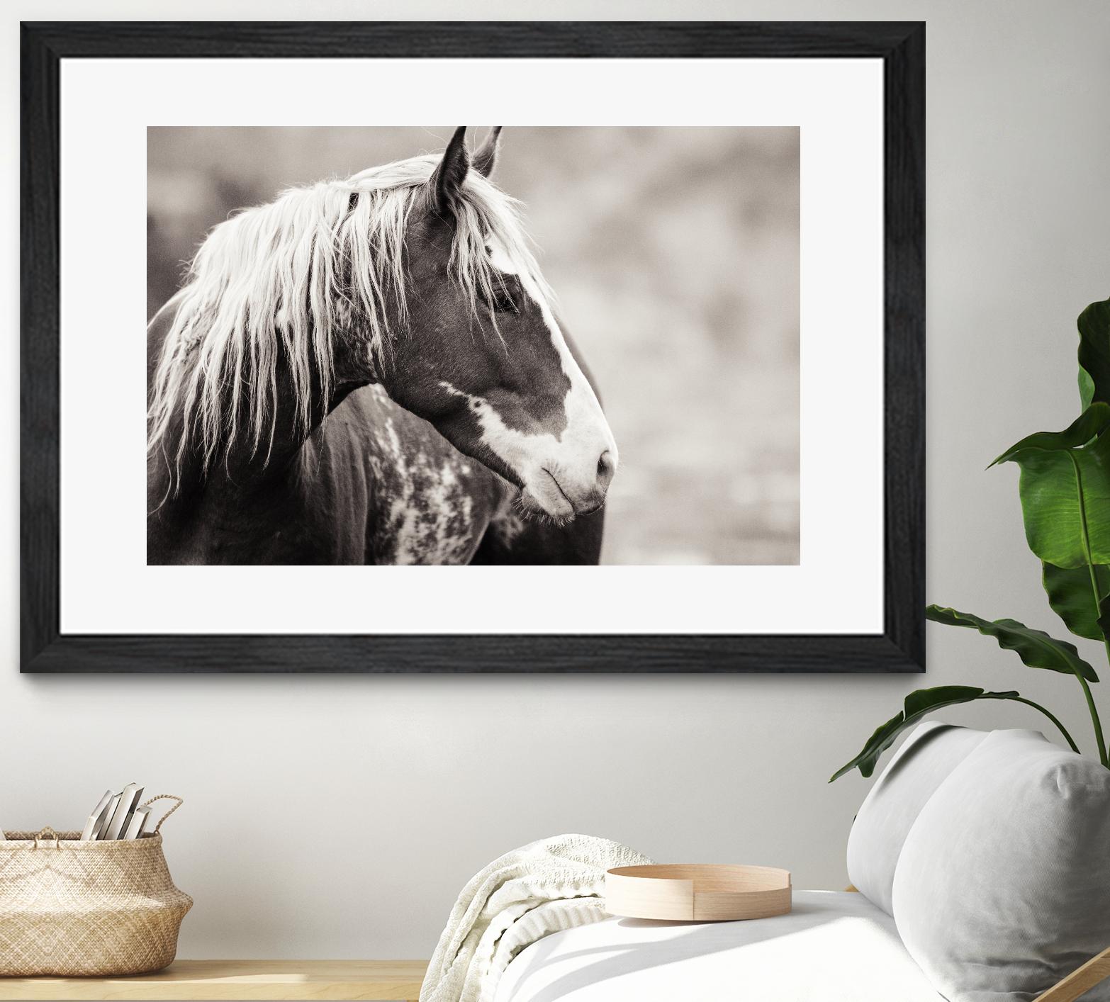 Wild Paint by Erle KaCee on GIANT ART - white animals