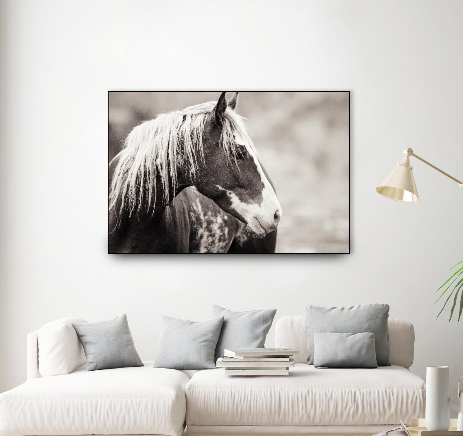 Wild Paint by Erle KaCee on GIANT ART - white animals