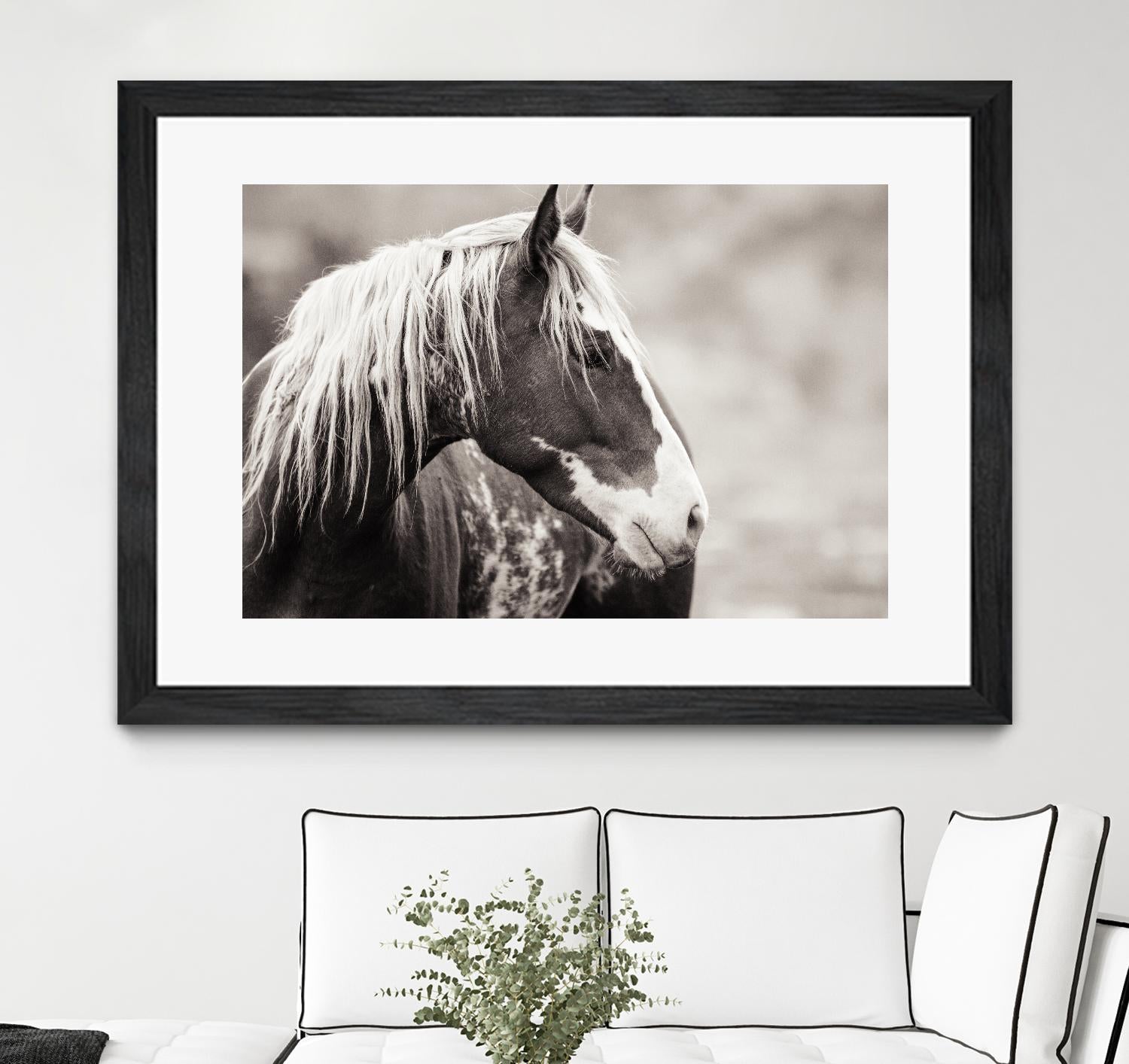 Wild Paint by Erle KaCee on GIANT ART - white animals