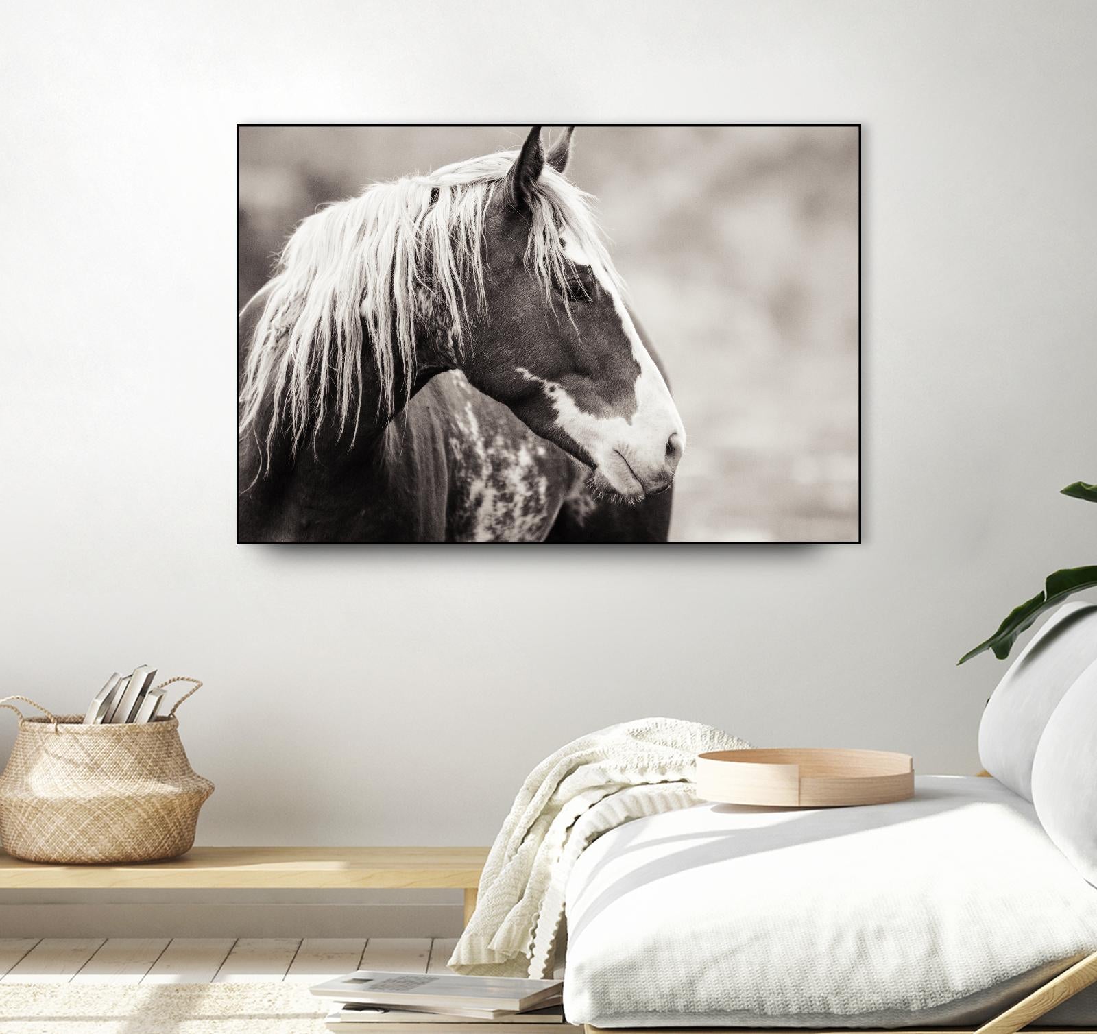 Wild Paint by Erle KaCee on GIANT ART - white animals